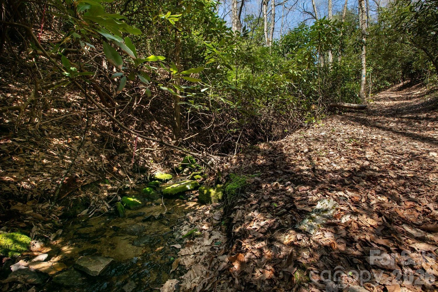 148 Spring Song Lane #6 - Photo 17