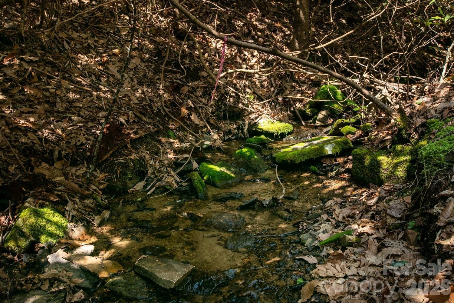 148 Spring Song Lane #6 - Photo 18