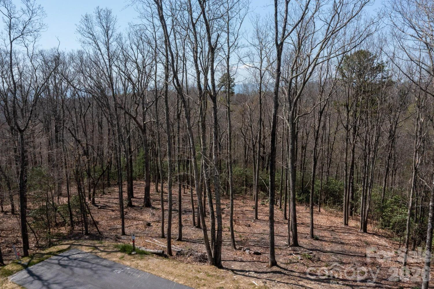 148 Spring Song Lane #6 - Photo 3