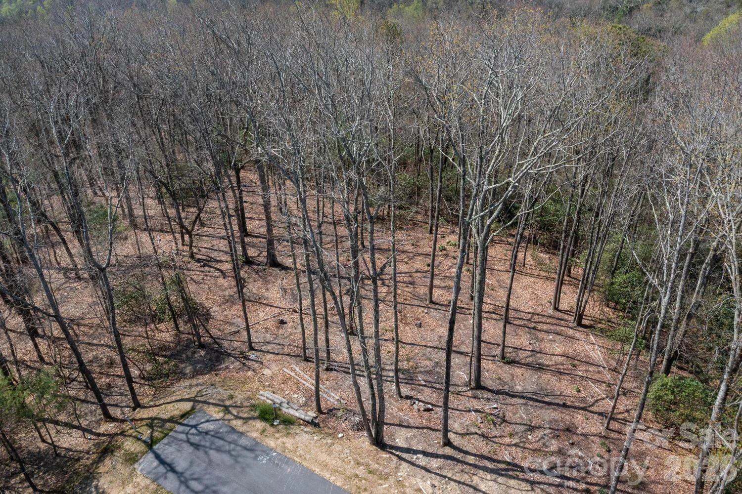 148 Spring Song Lane #6 - Photo 4