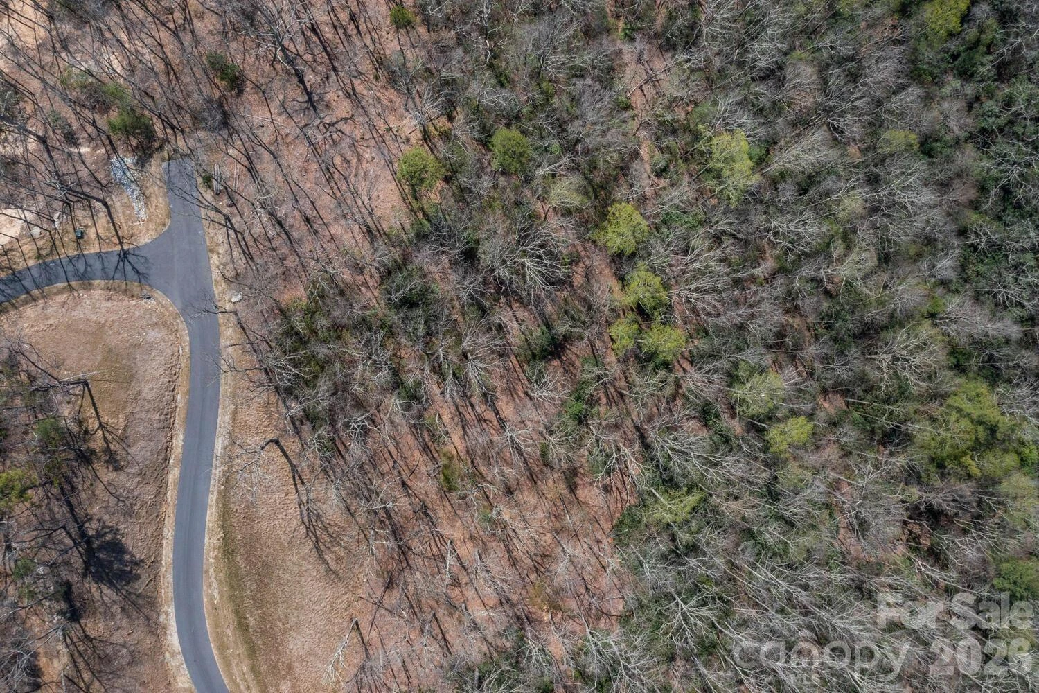 148 Spring Song Lane #6 - Photo 5