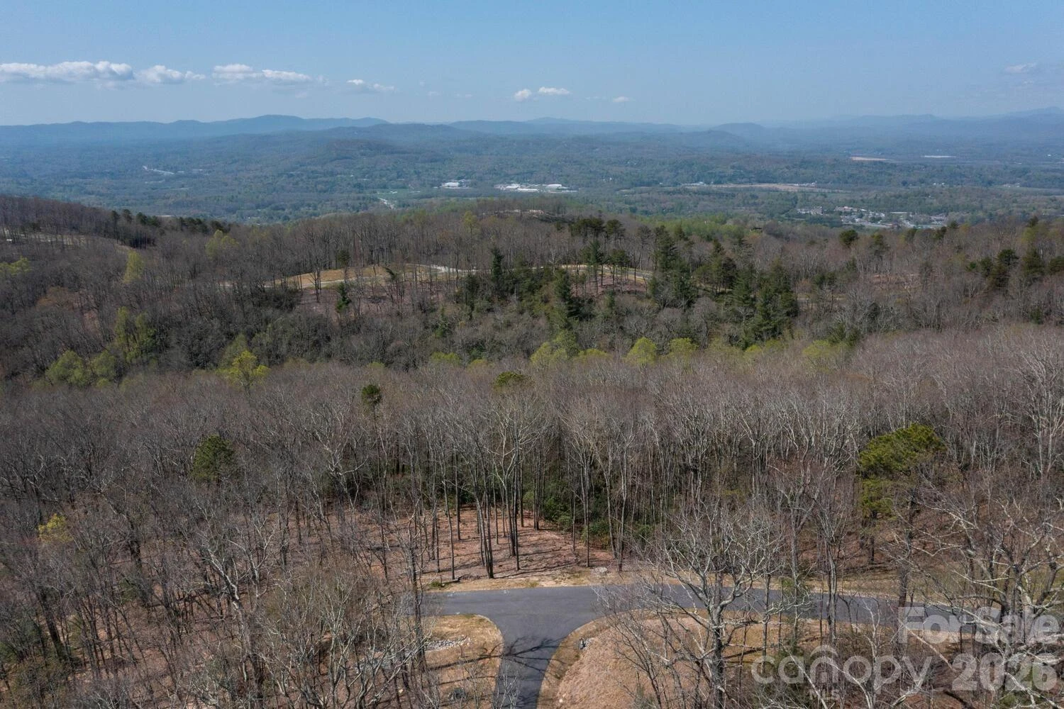 148 Spring Song Lane #6 - Photo 6