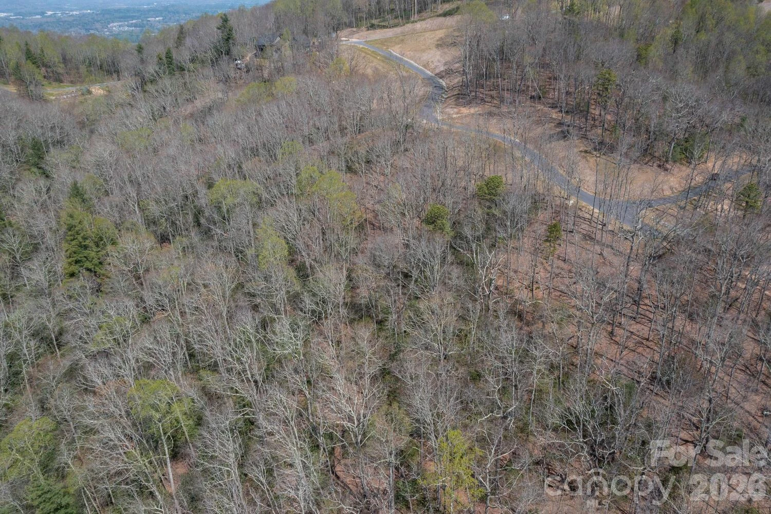 148 Spring Song Lane #6 - Photo 7