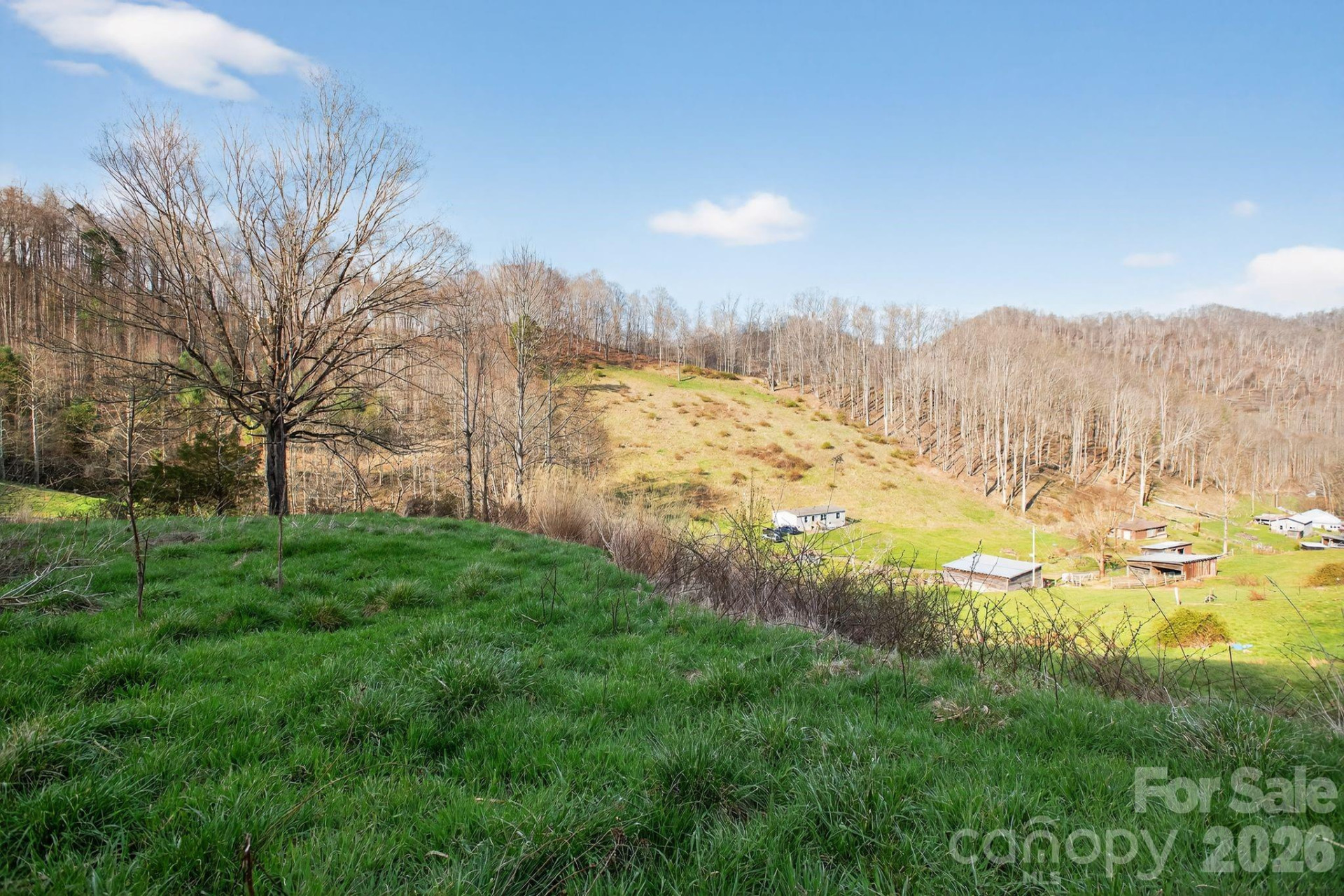 212 Ball Hollow Lane - Photo 28