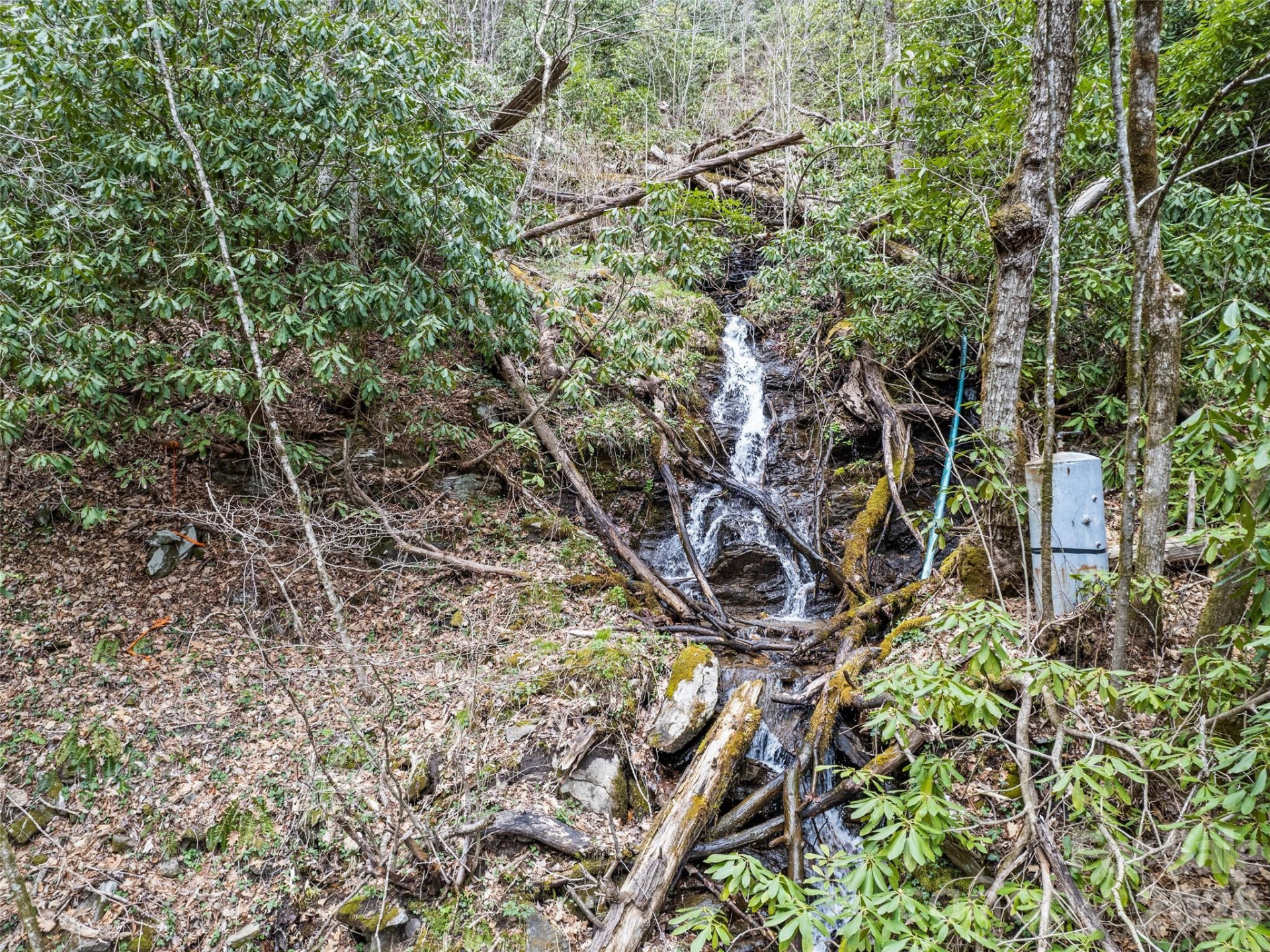 57 Gross Beak Trail - Photo 12