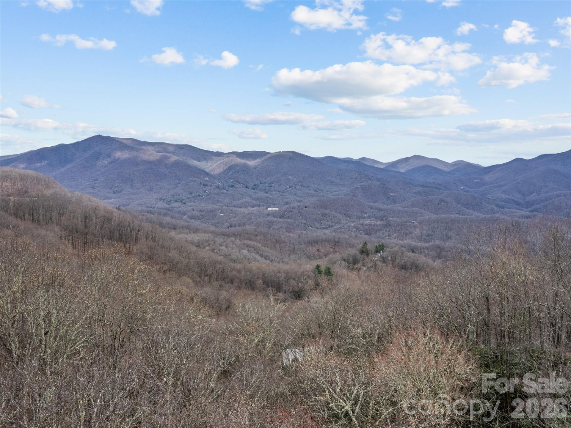 57 Gross Beak Trail - Photo 13