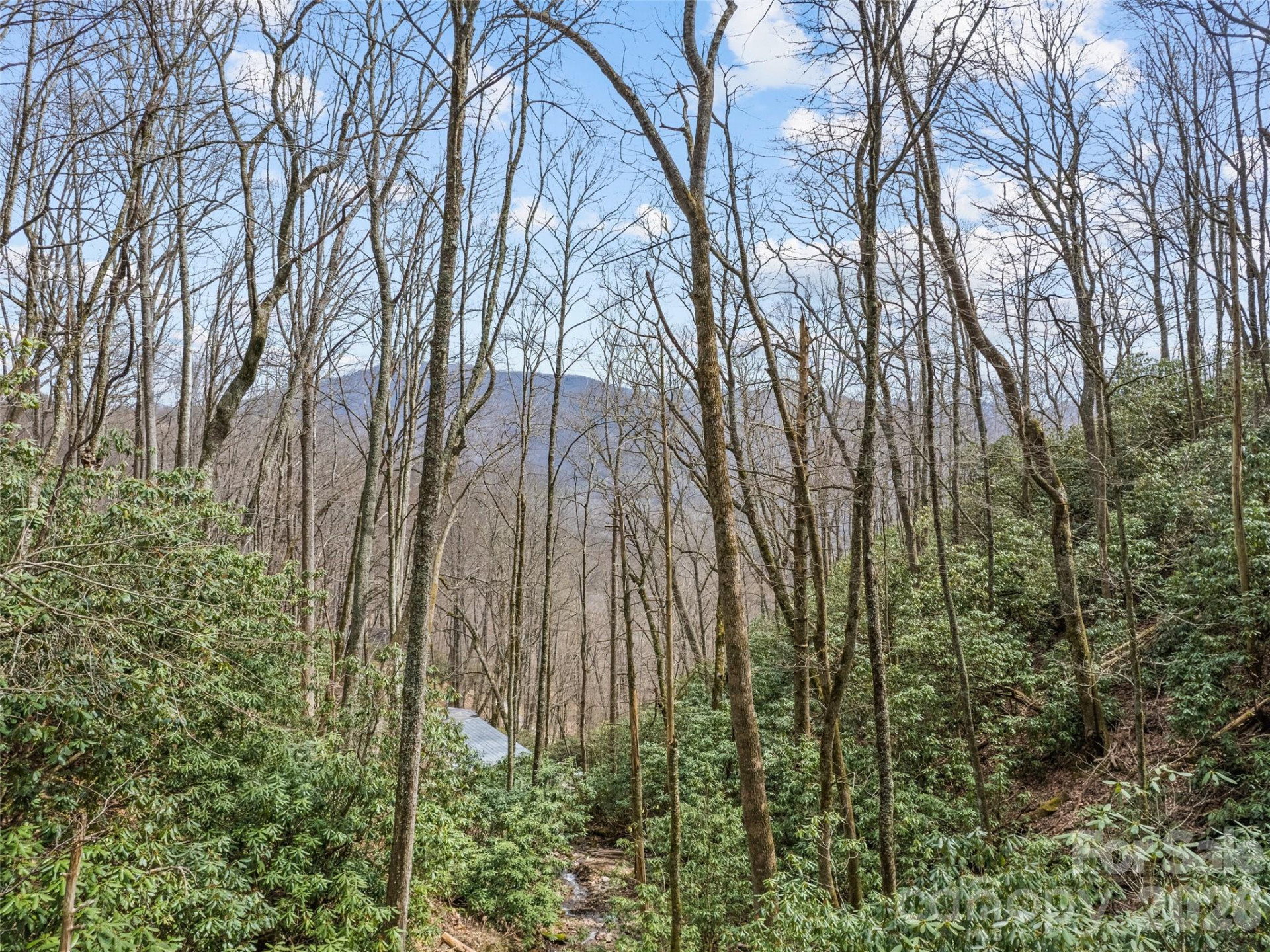 57 Gross Beak Trail - Photo 4