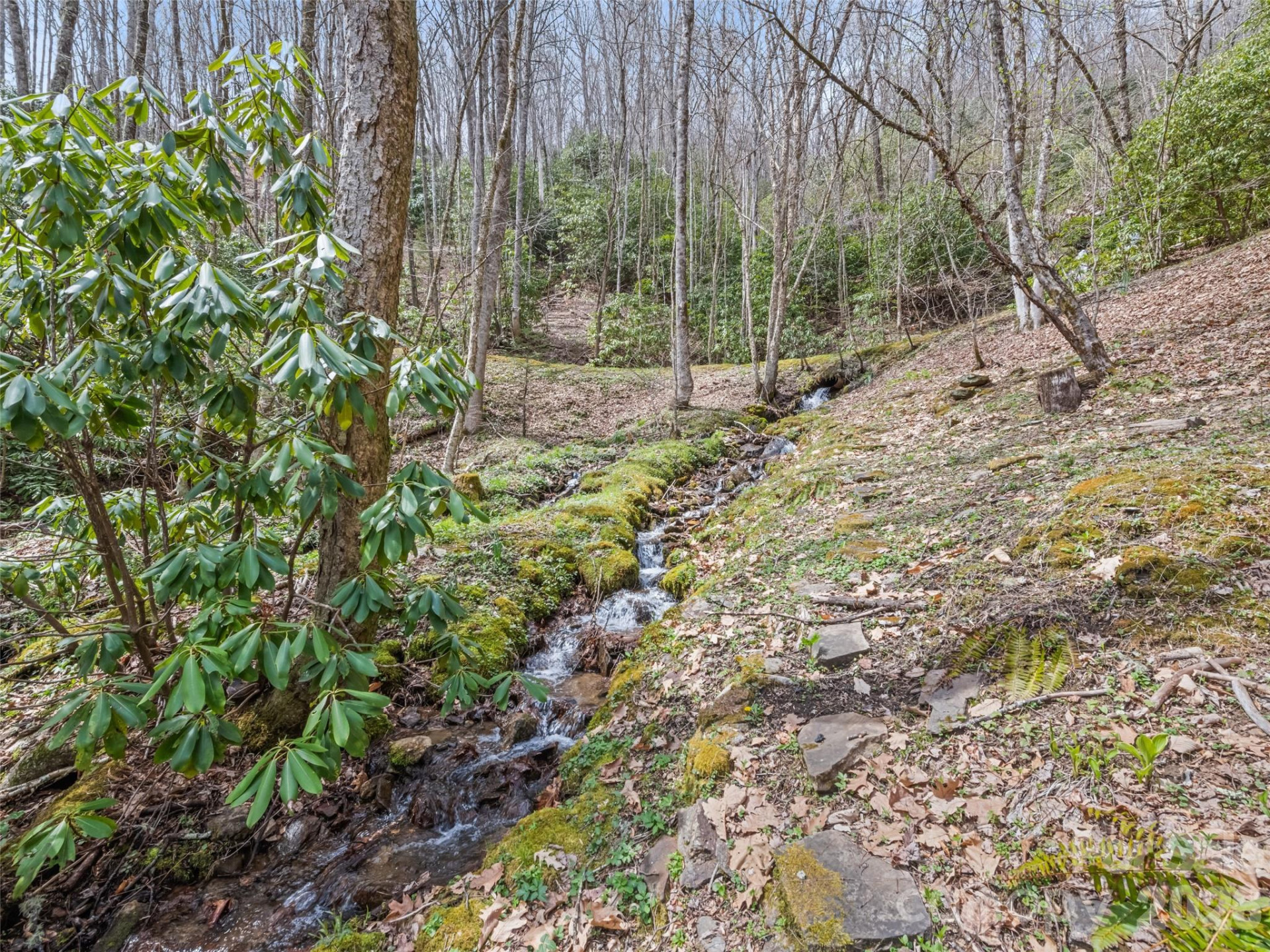 57 Gross Beak Trail - Photo 40