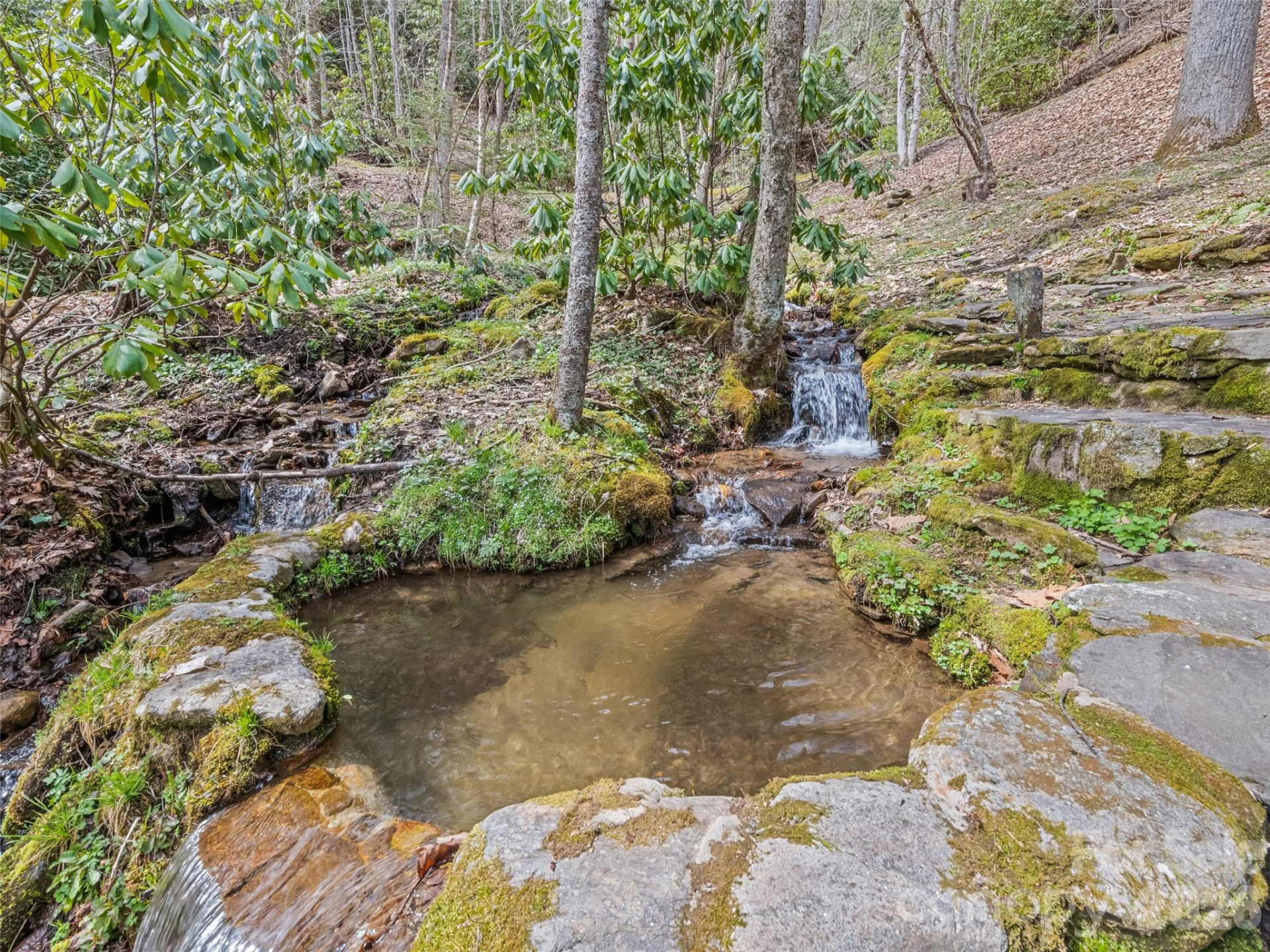 57 Gross Beak Trail - Photo 41