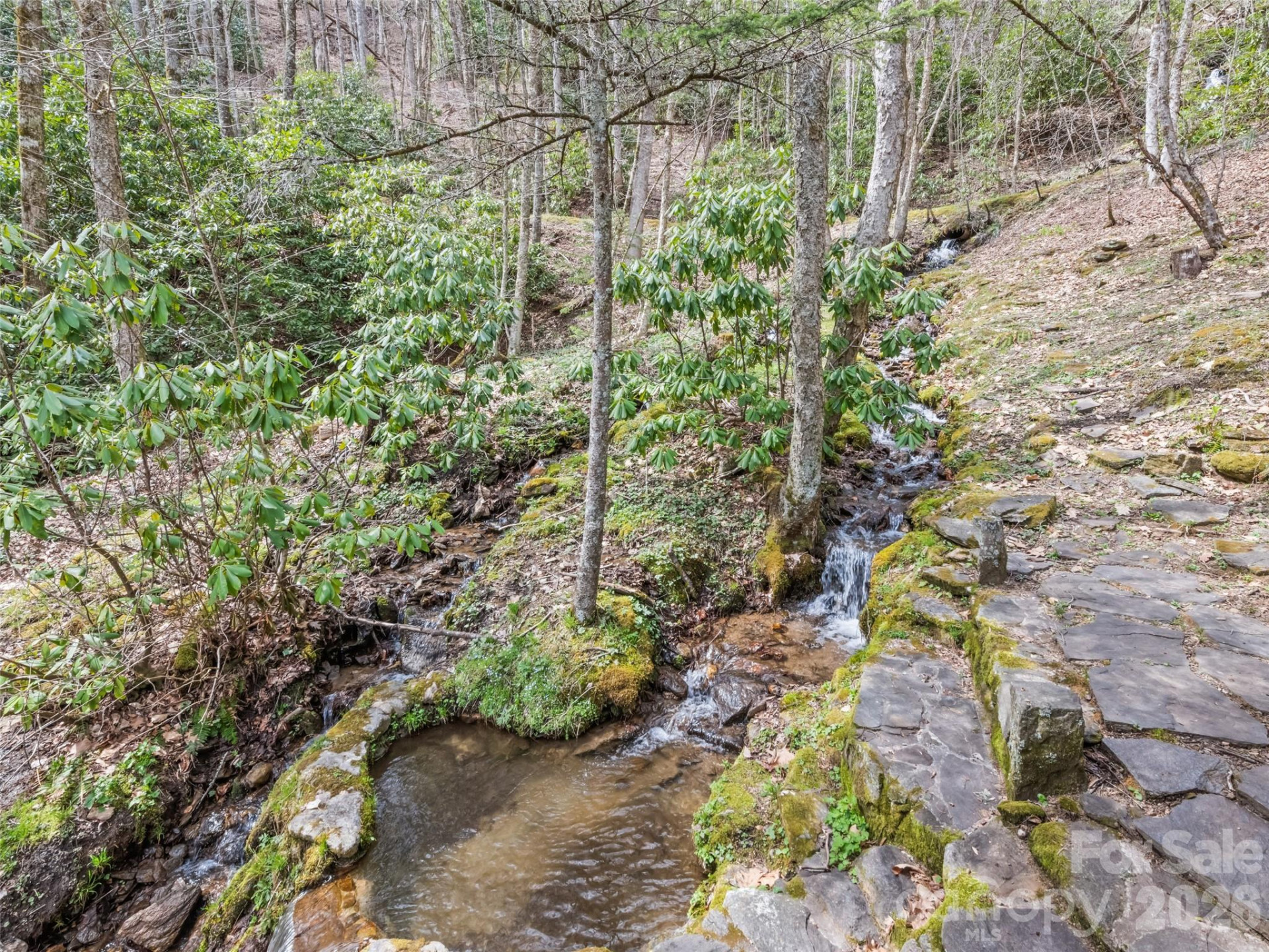 57 Gross Beak Trail - Photo 43