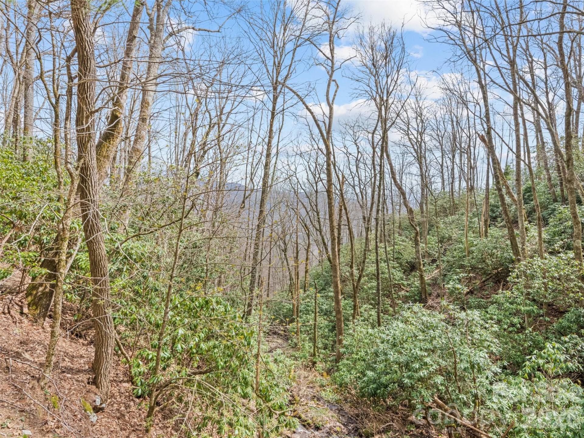 57 Gross Beak Trail - Photo 45