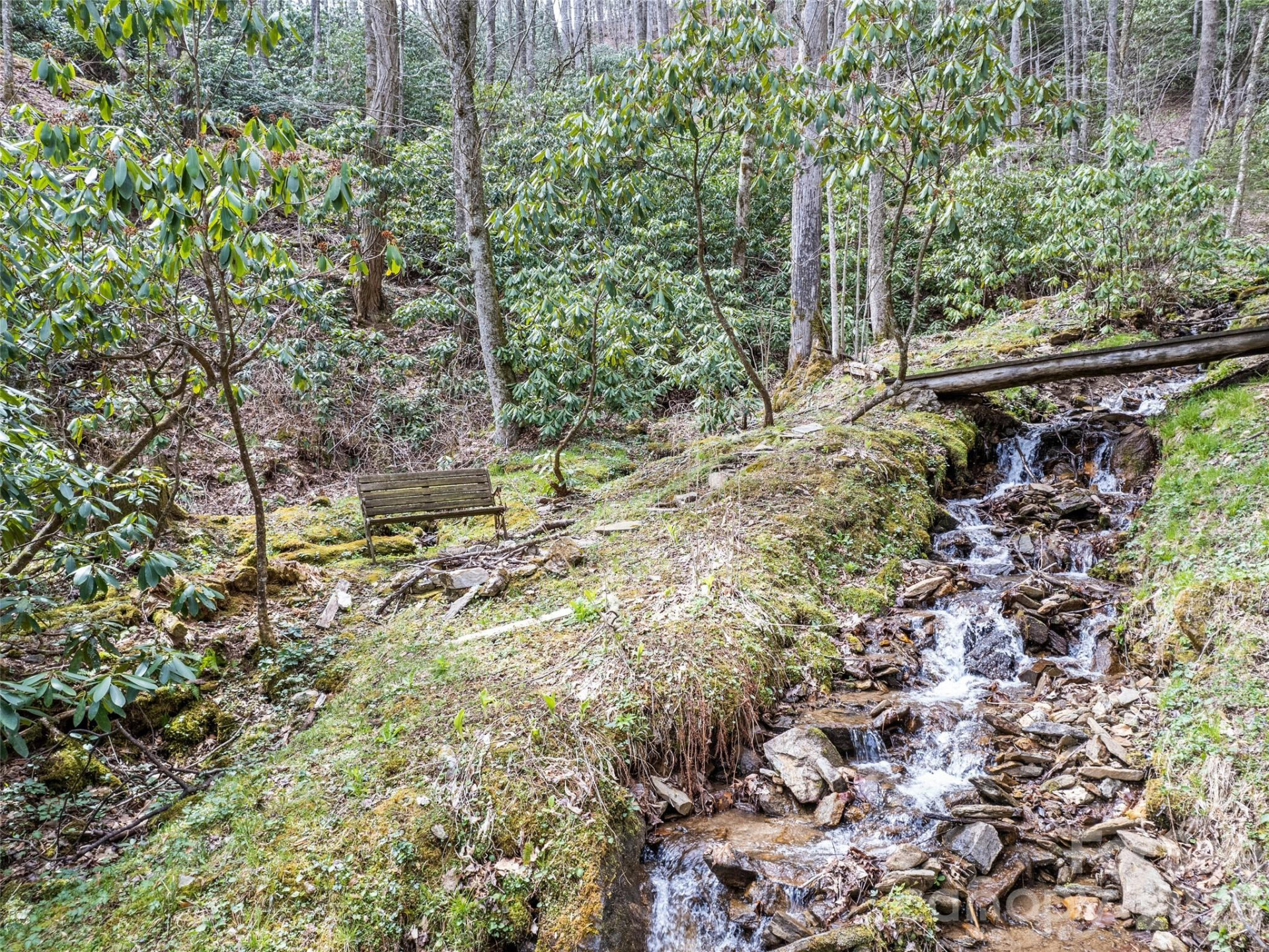 57 Gross Beak Trail - Photo 6