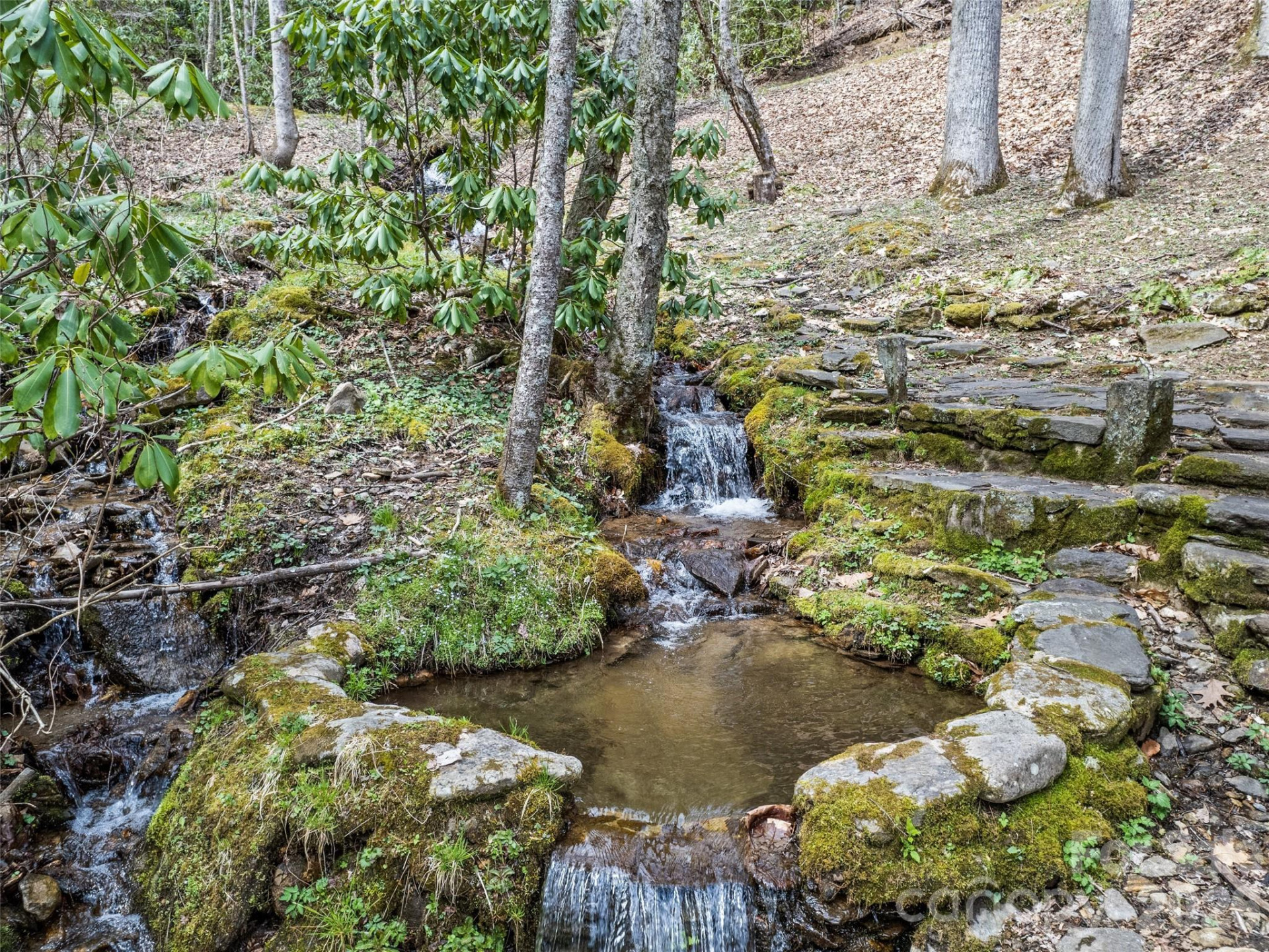 57 Gross Beak Trail - Photo 7