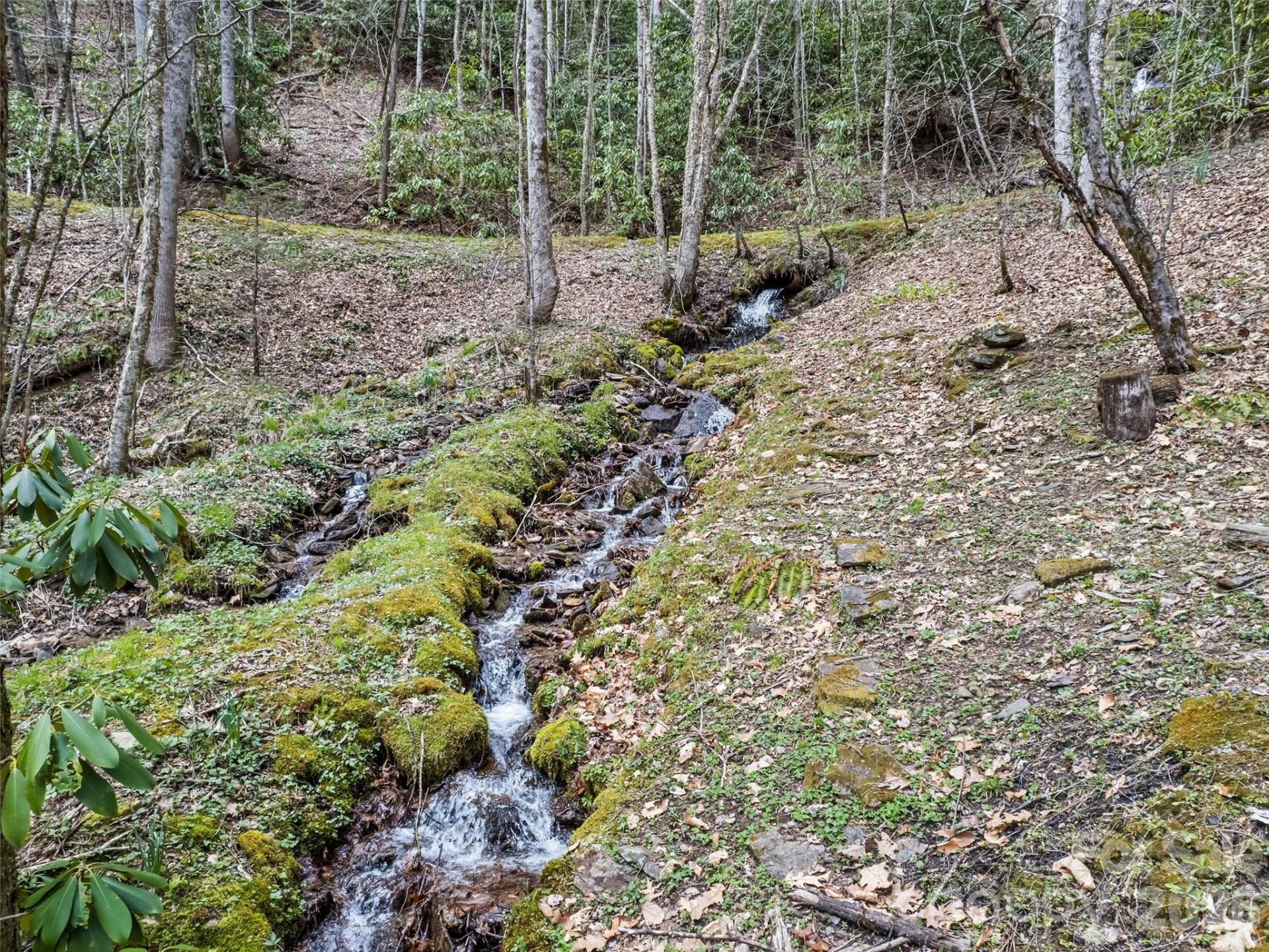 57 Gross Beak Trail - Photo 9