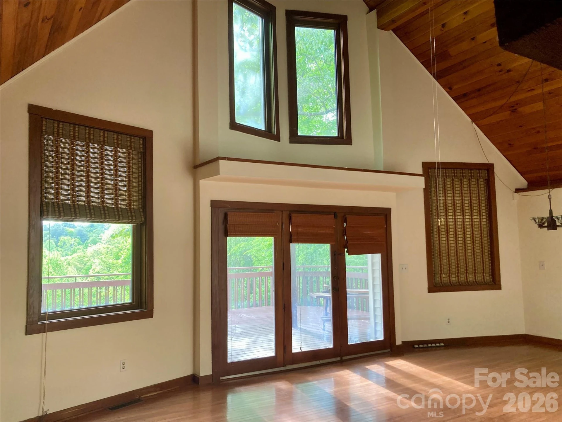 344 Mills River Road - Photo 14
