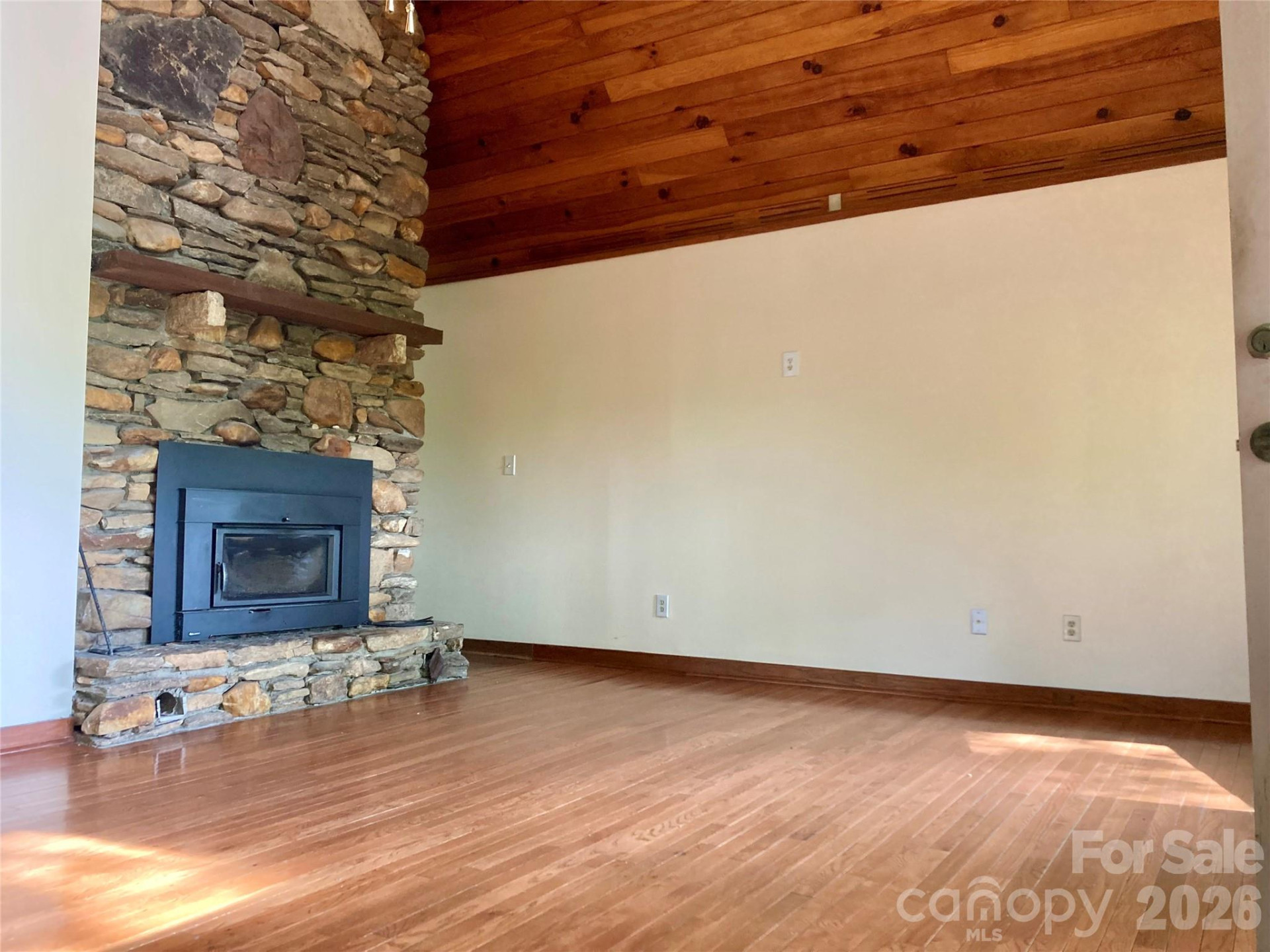 344 Mills River Road - Photo 16