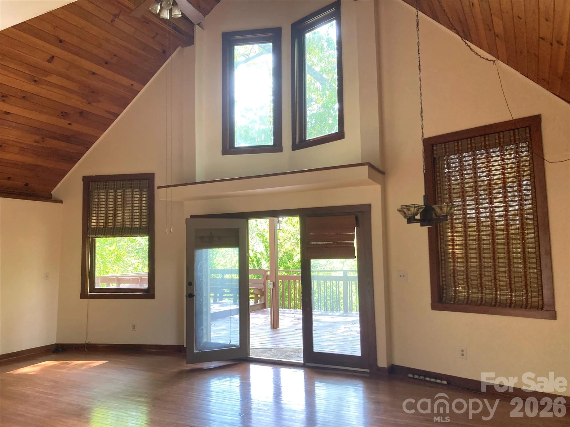 344 Mills River Road - Photo 18