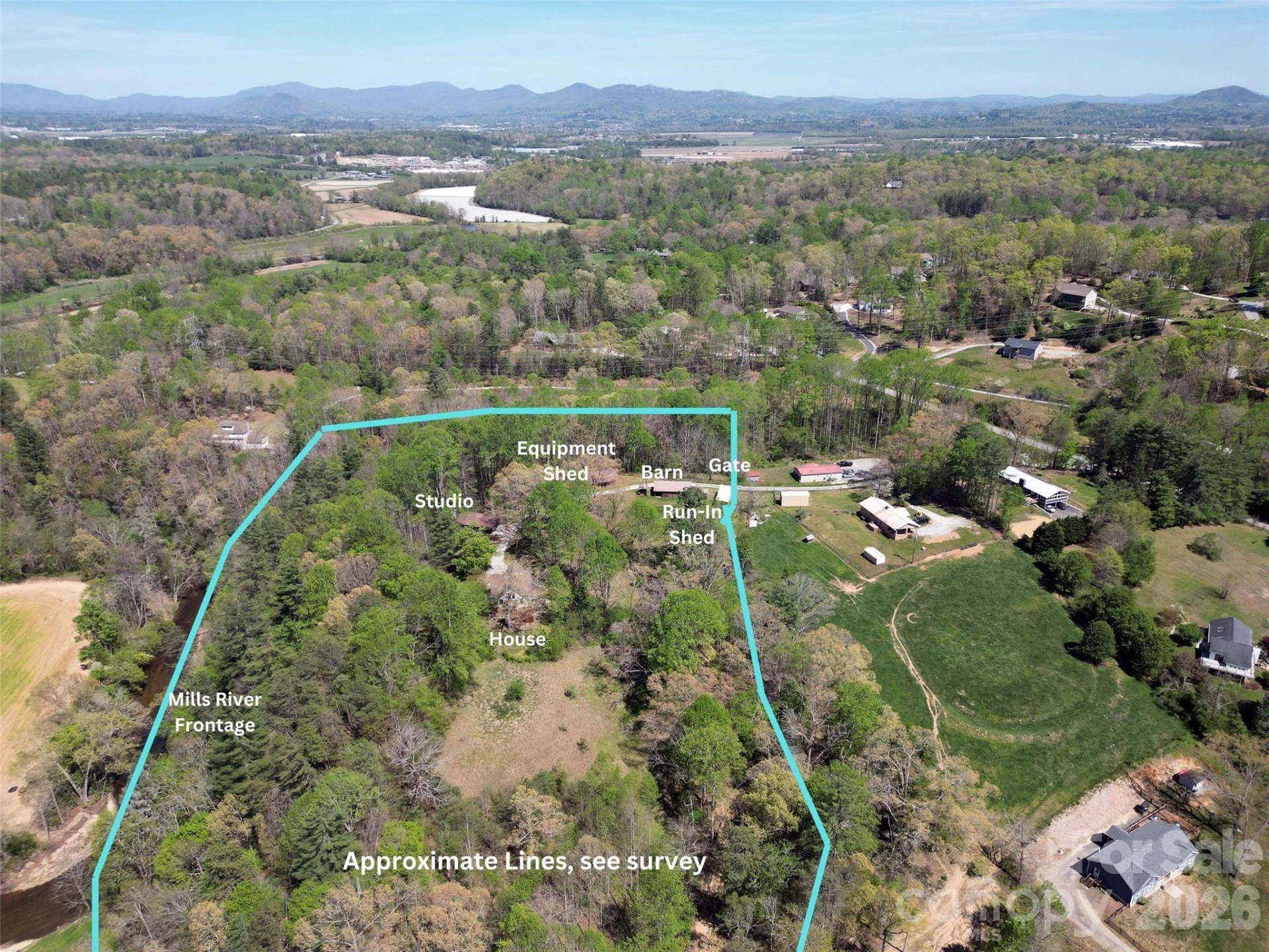 344 Mills River Road - Photo 5