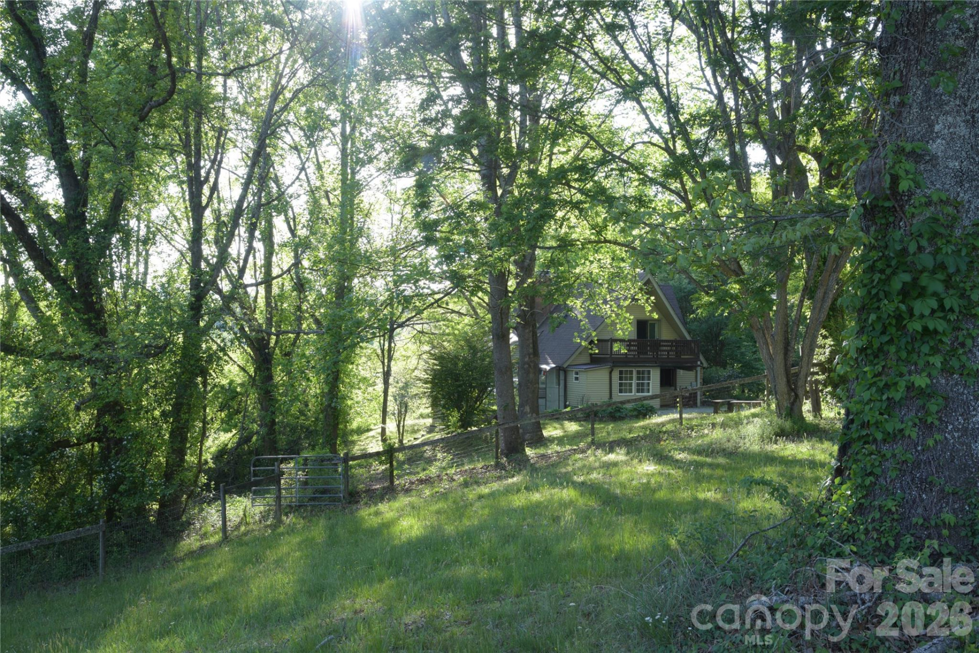 344 Mills River Road - Photo 35