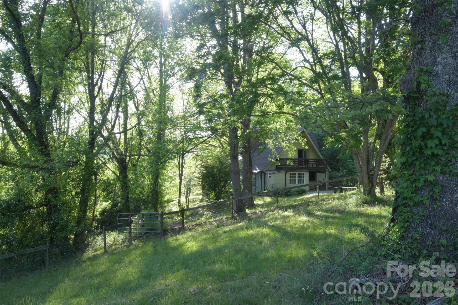 344 Mills River Road - Photo 35