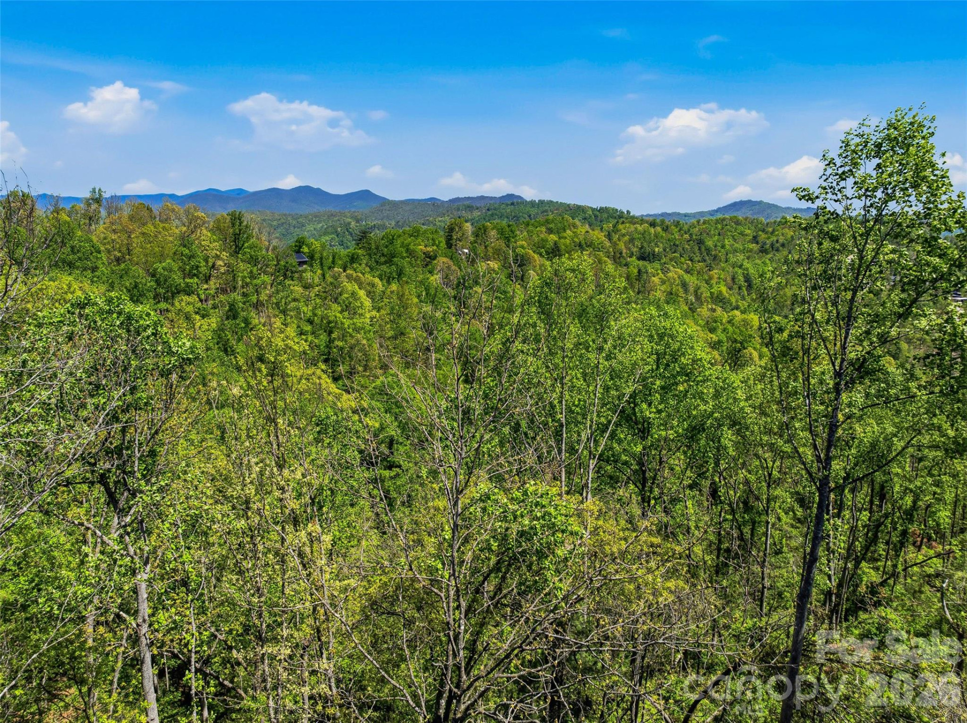 135 Starling Pass - Photo 16