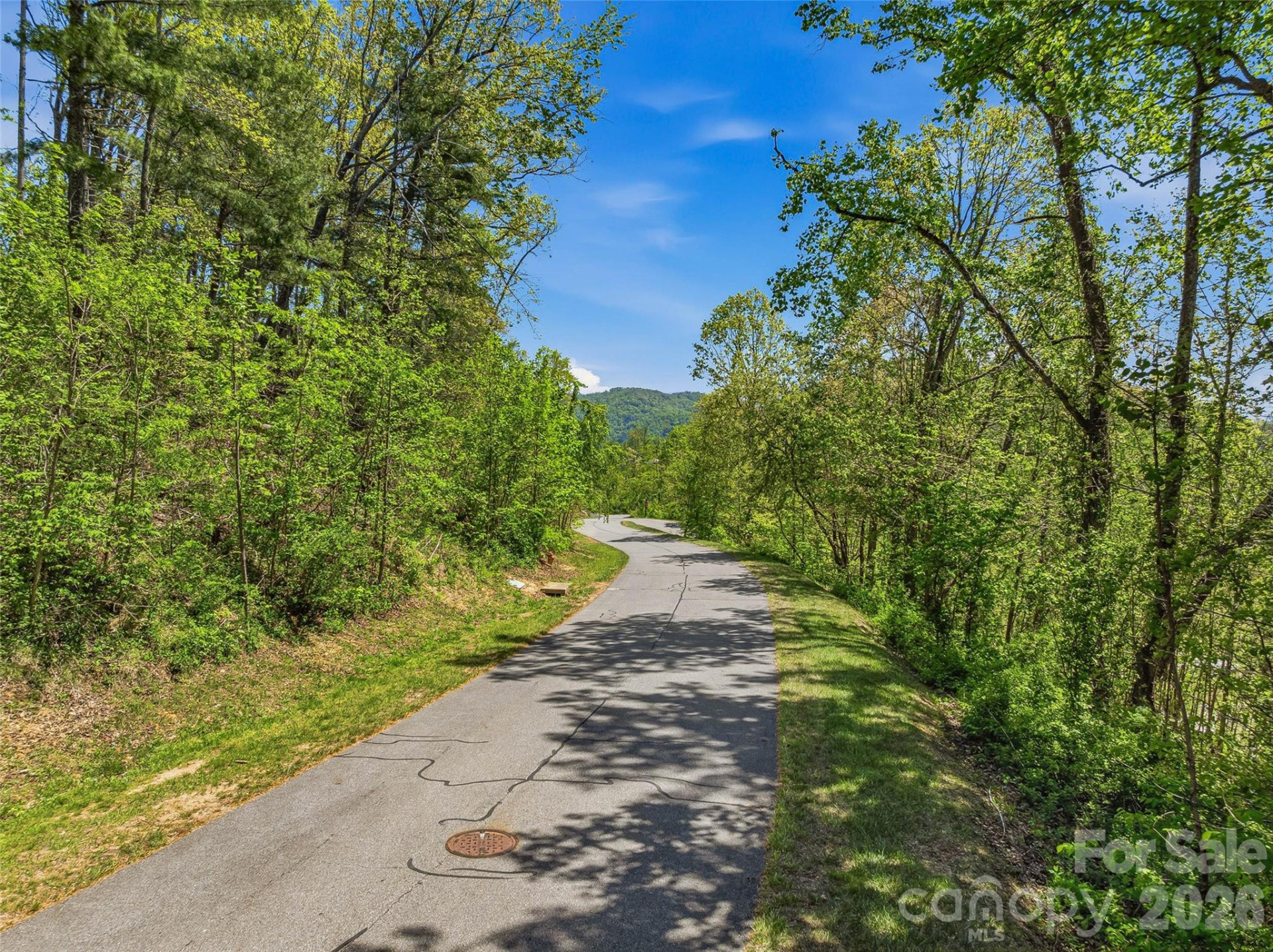135 Starling Pass - Photo 17