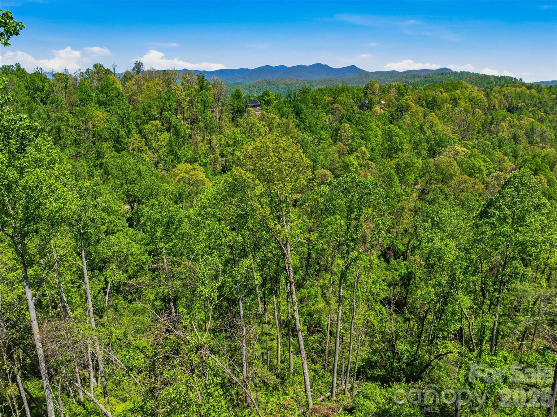 135 Starling Pass - Photo 3