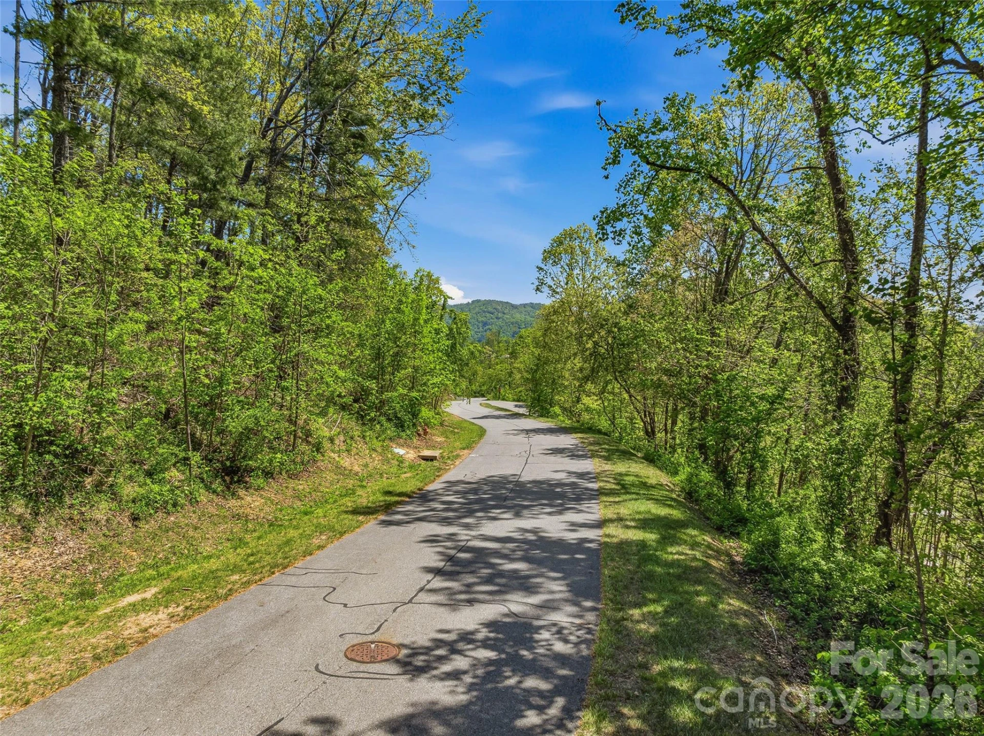 135 Starling Pass - Photo 41