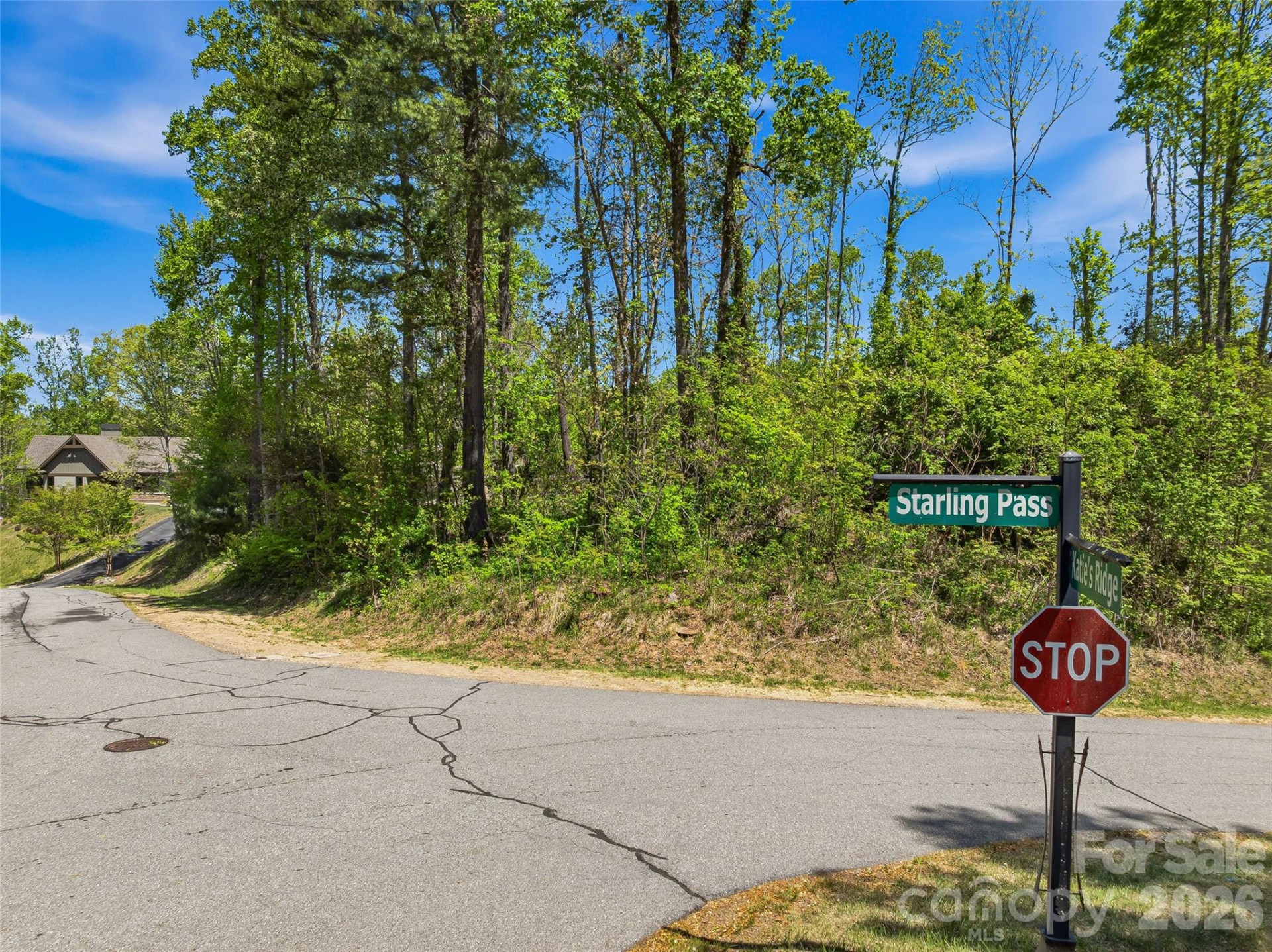 135 Starling Pass - Photo 24
