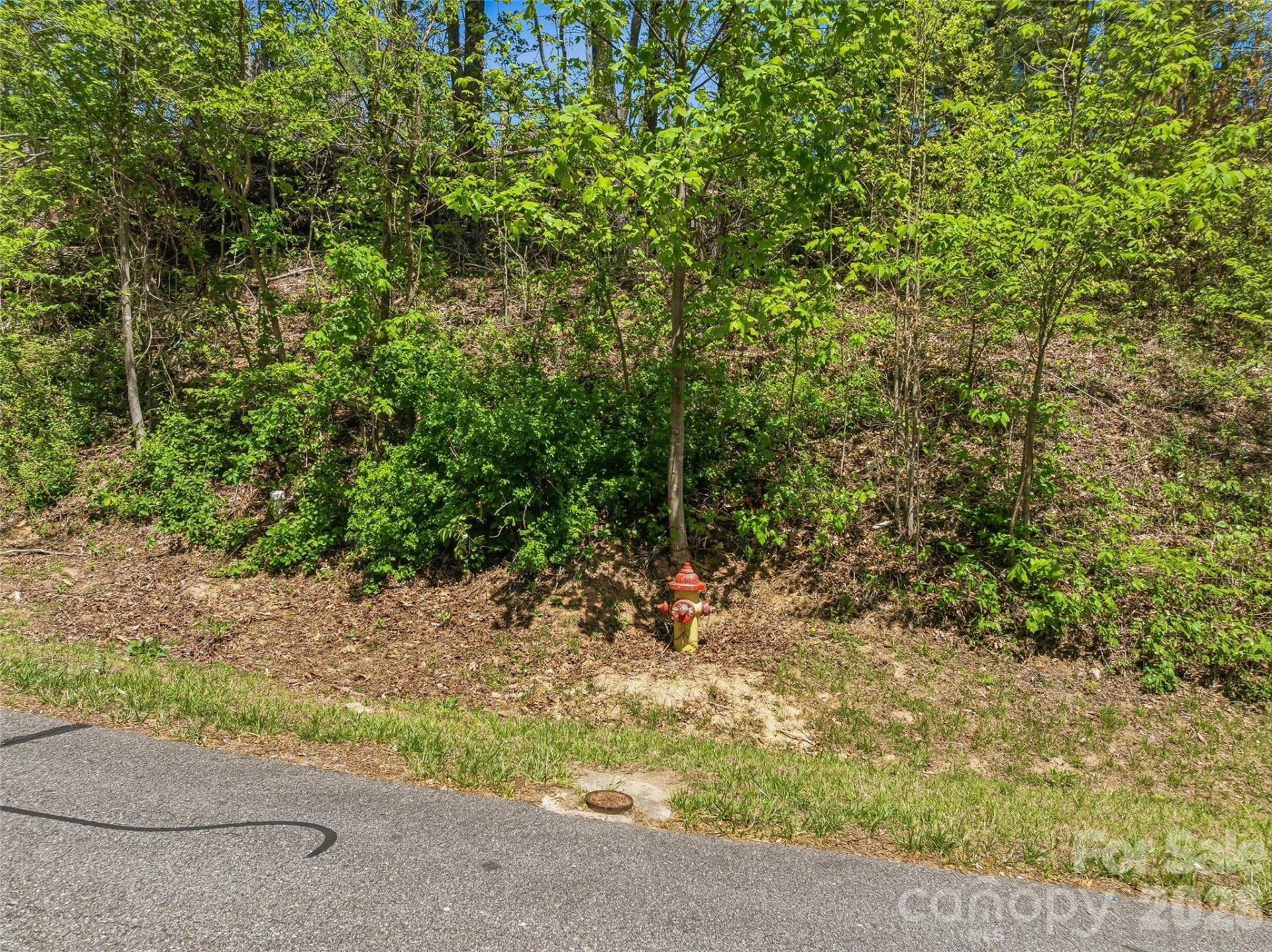 135 Starling Pass - Photo 59