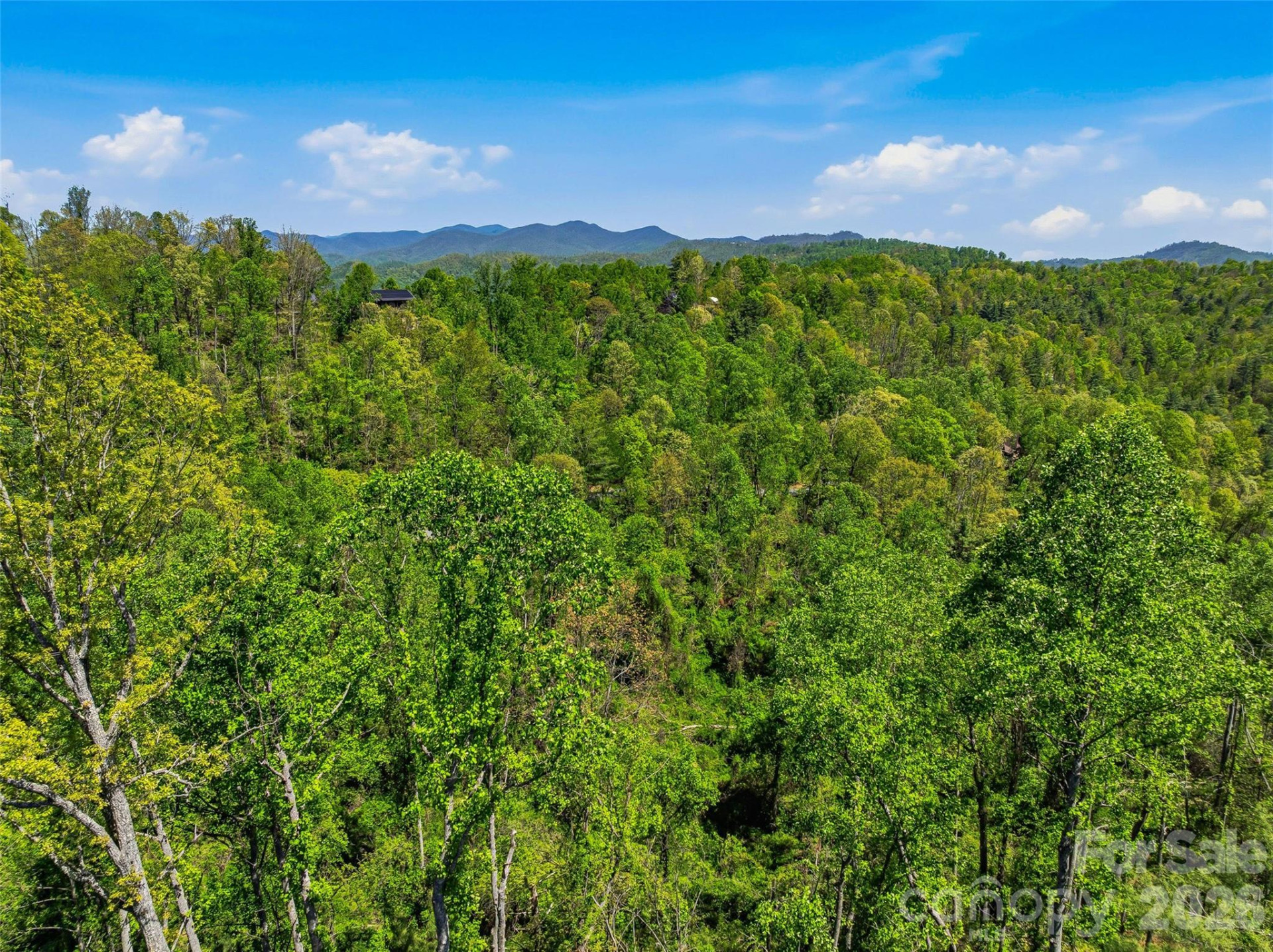 135 Starling Pass - Photo 31