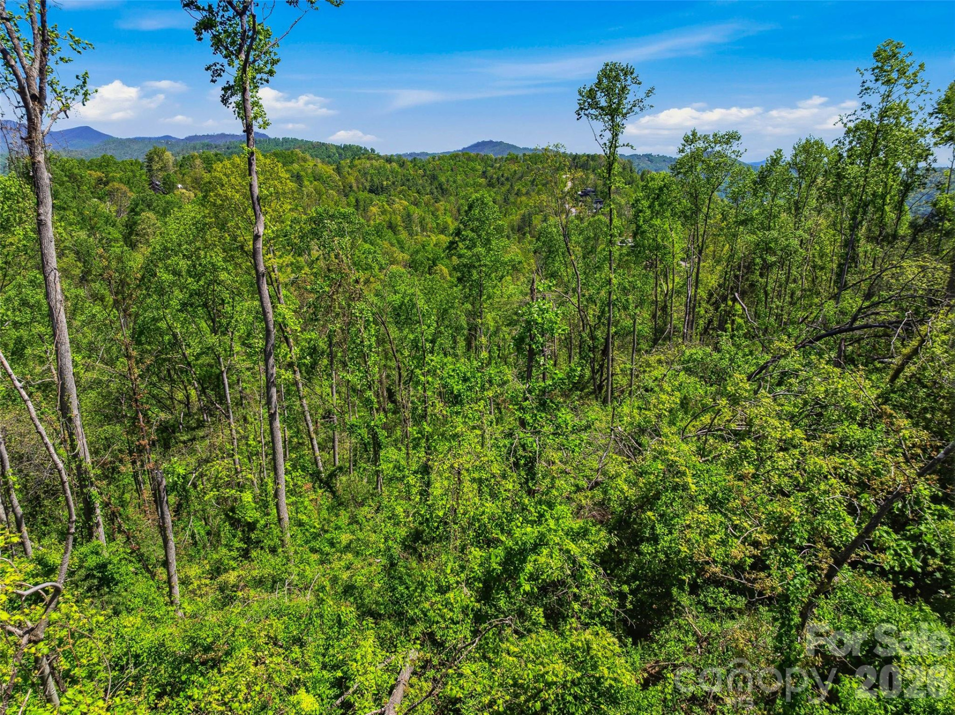 135 Starling Pass - Photo 8