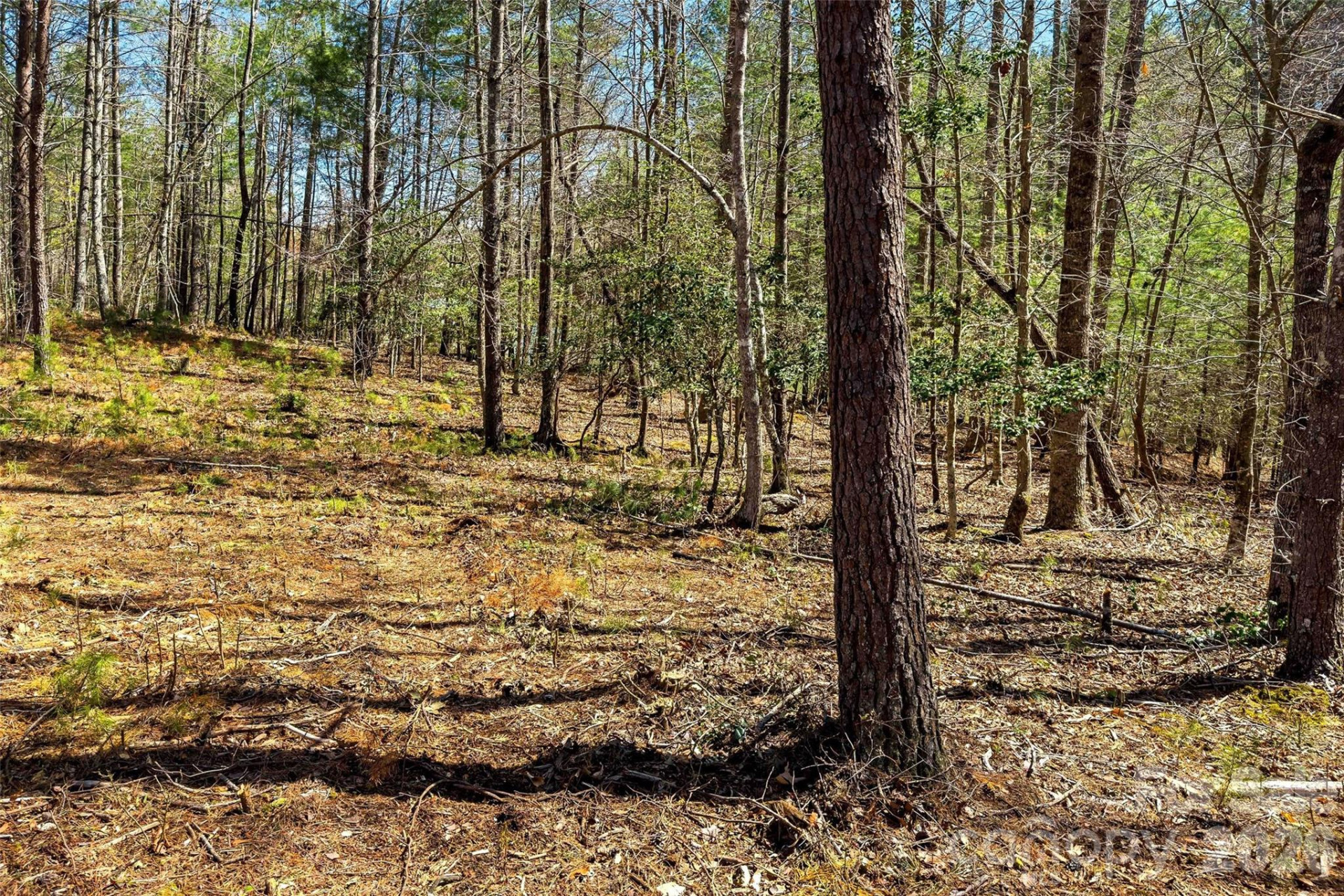 3107 Channel View Cove - Photo 2