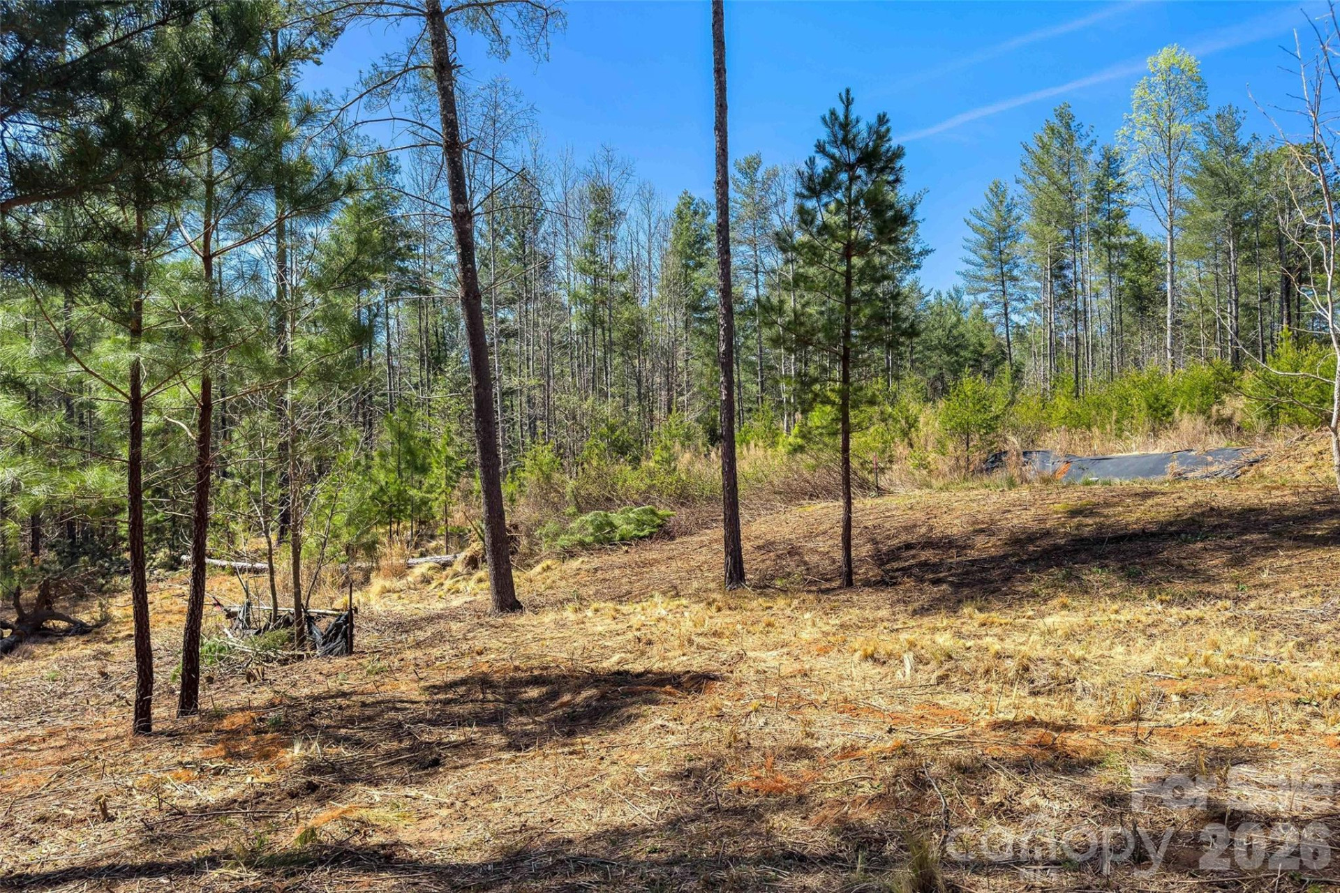 3107 Channel View Cove - Photo 11