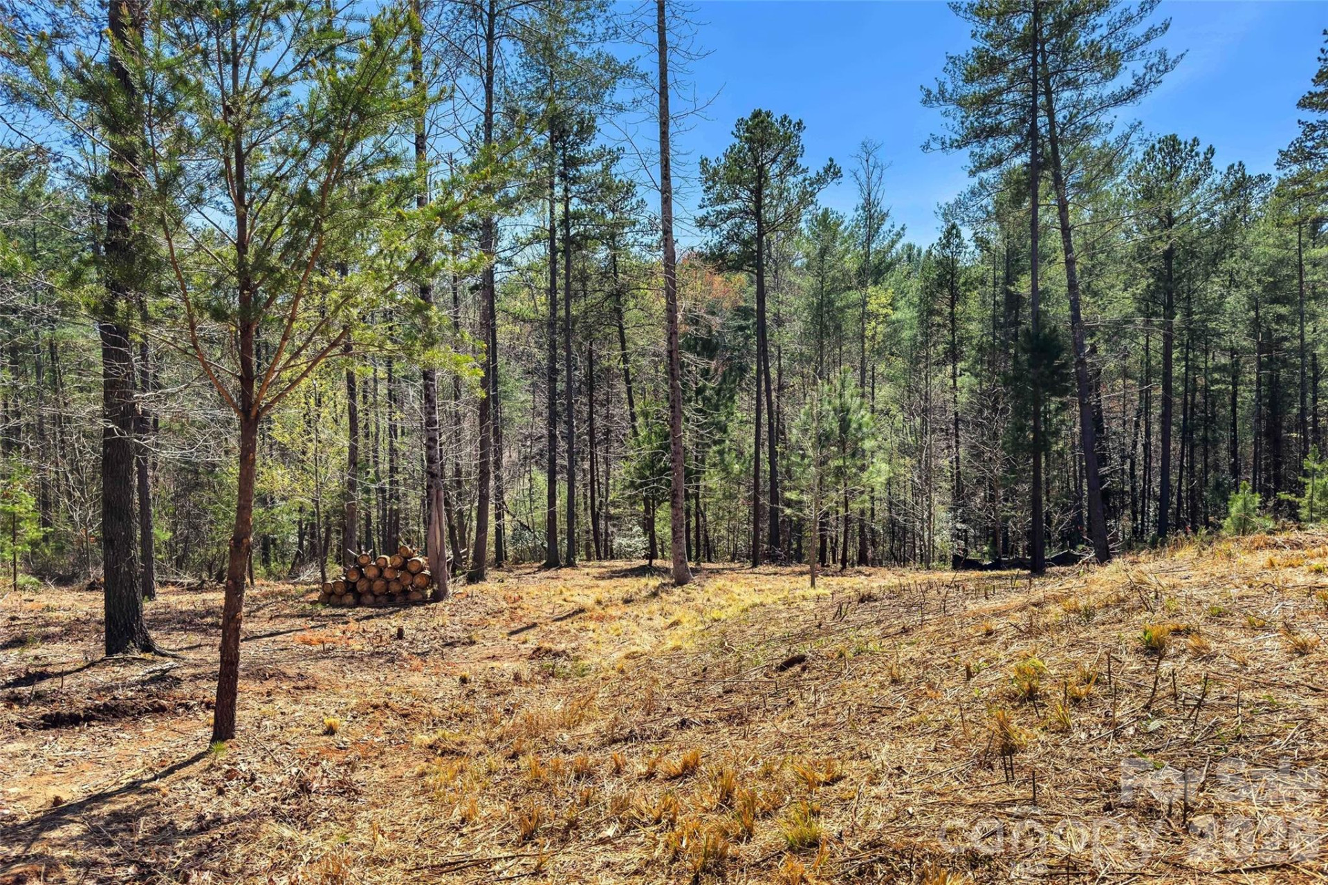 3107 Channel View Cove - Photo 16