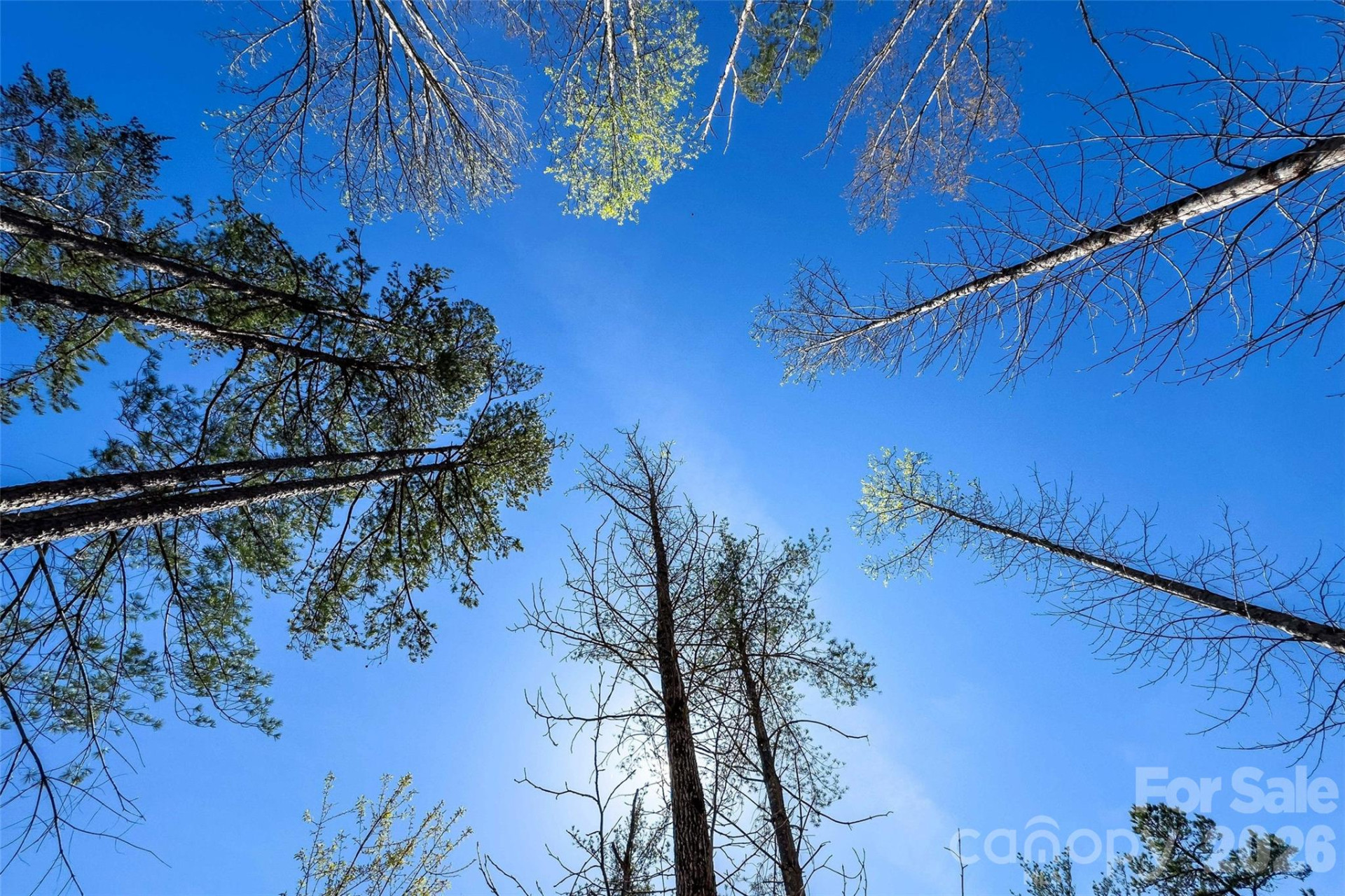 3107 Channel View Cove - Photo 19