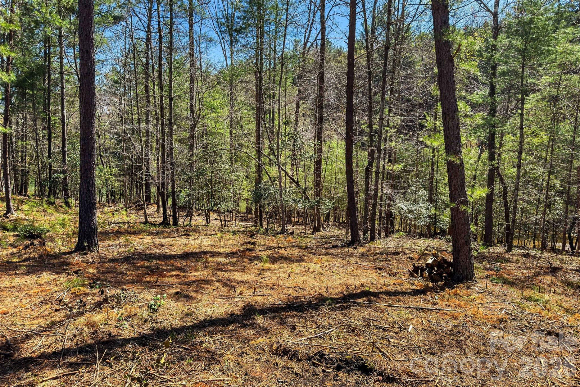 3107 Channel View Cove - Photo 20