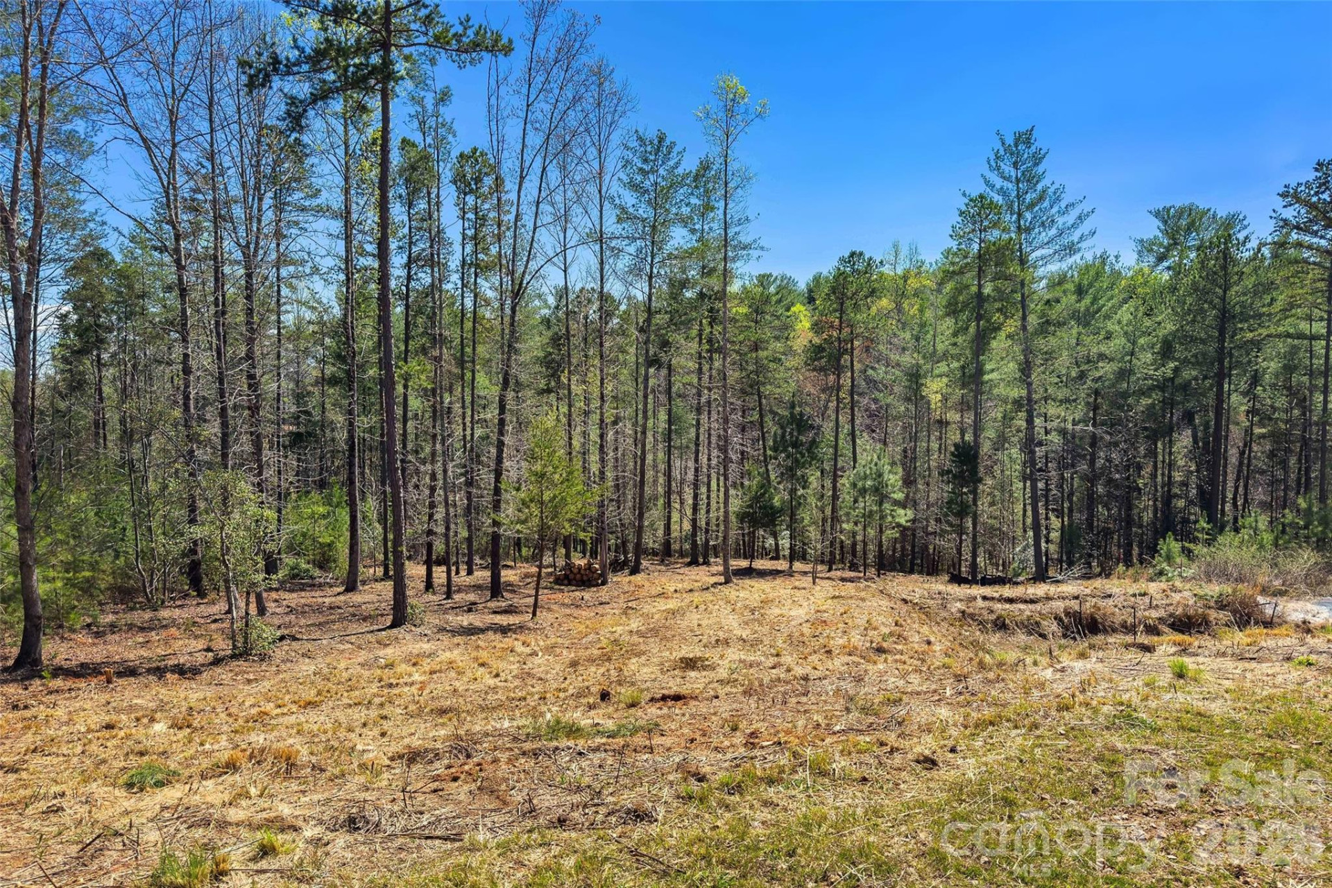 3107 Channel View Cove - Photo 24