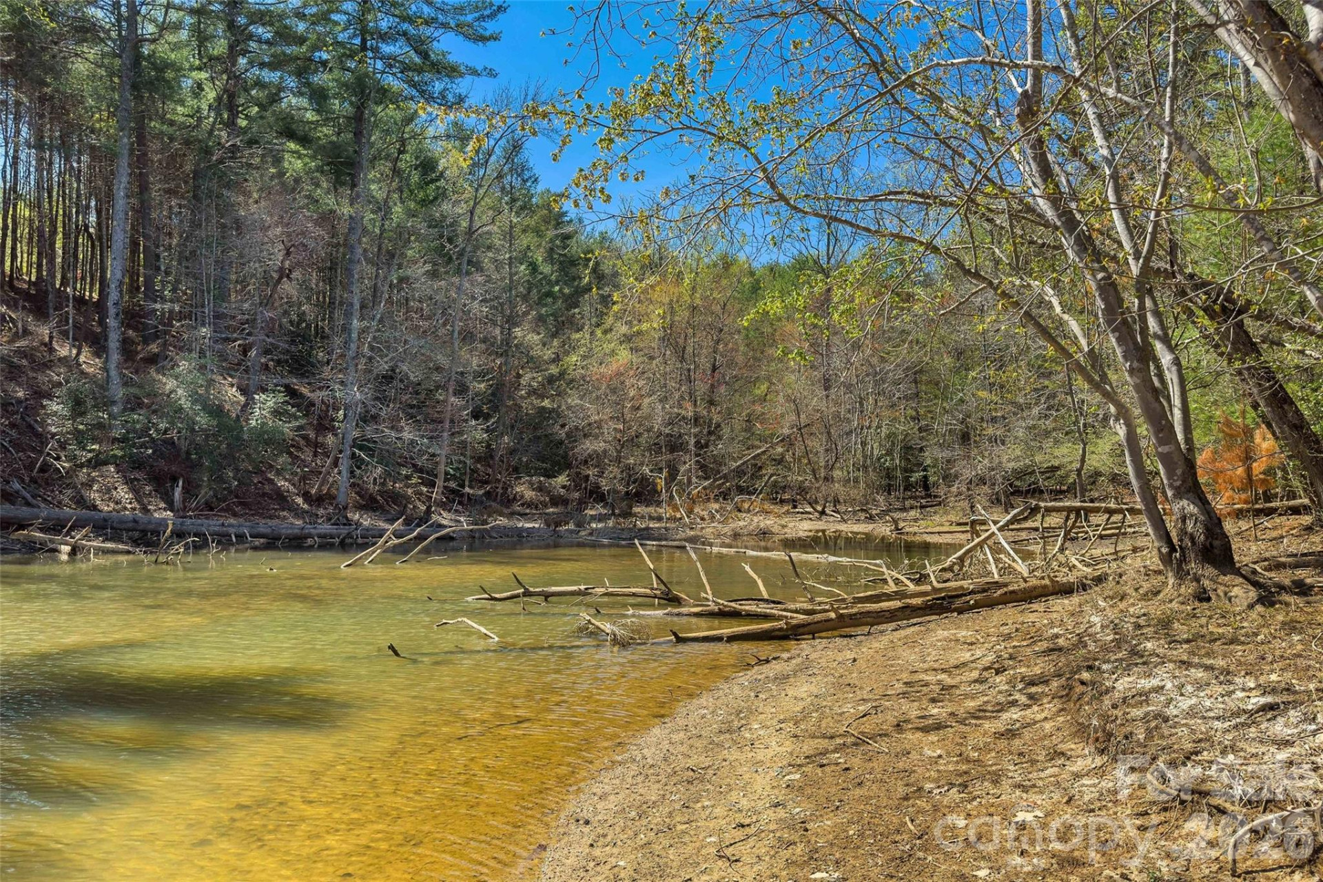 3107 Channel View Cove - Photo 4