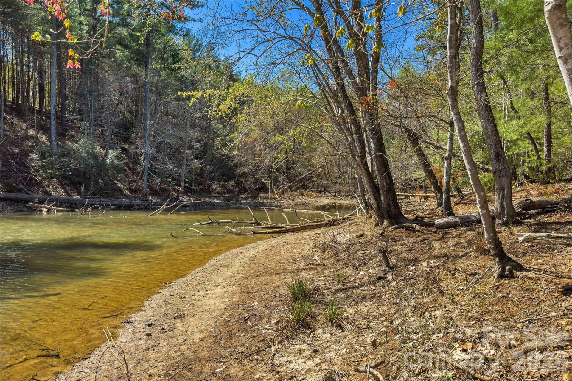 3107 Channel View Cove - Photo 5