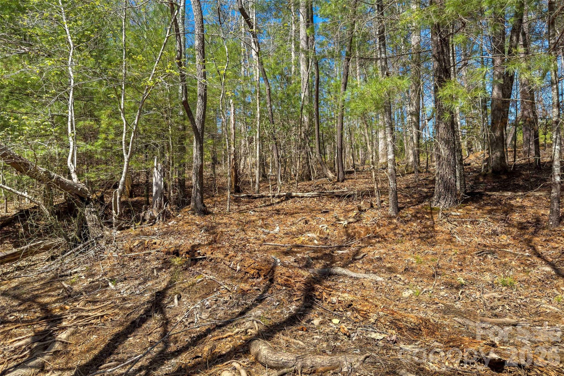 3107 Channel View Cove - Photo 7