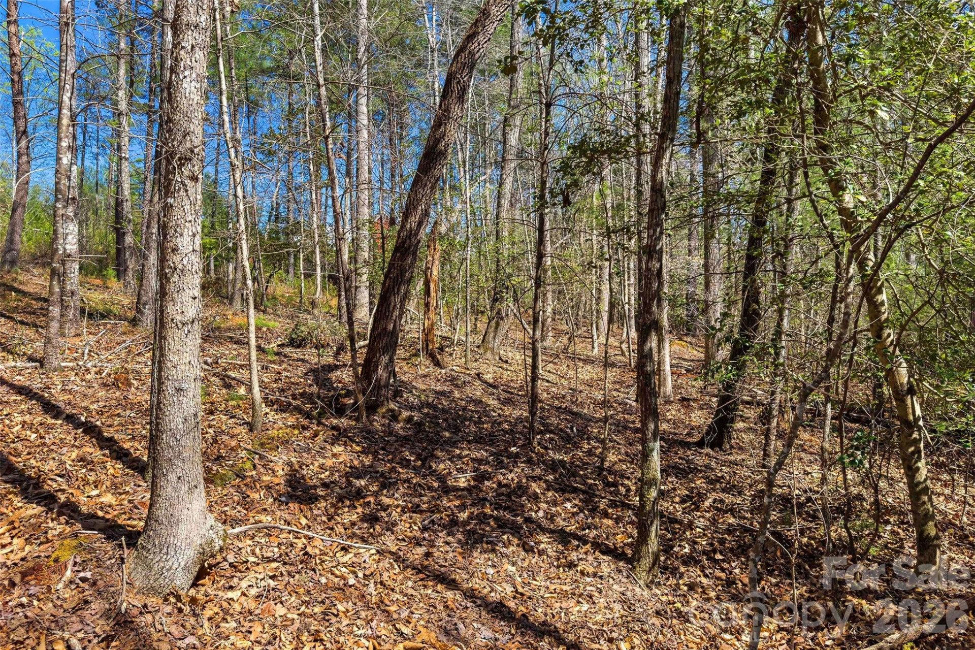 3107 Channel View Cove - Photo 8