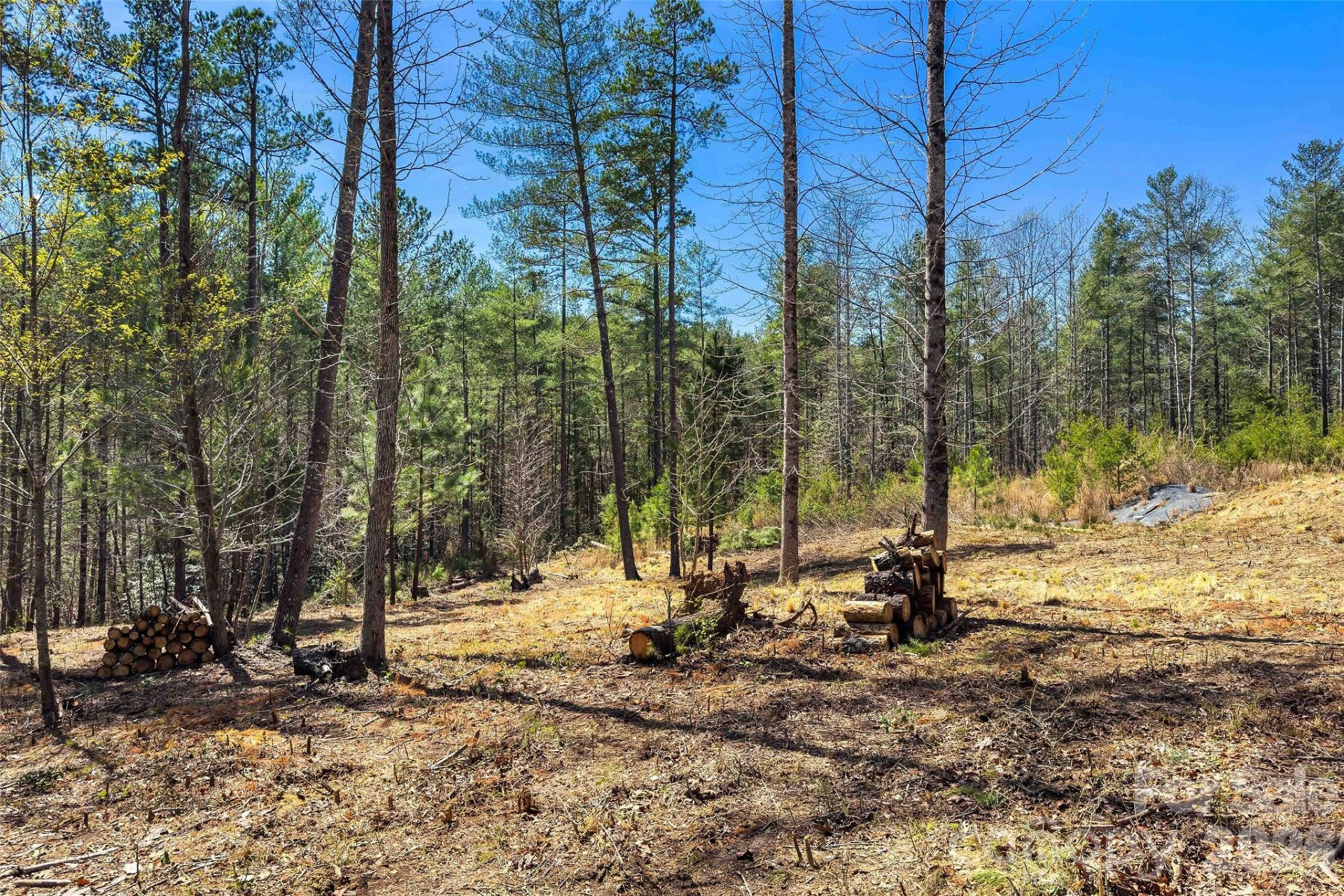 3107 Channel View Cove - Photo 10