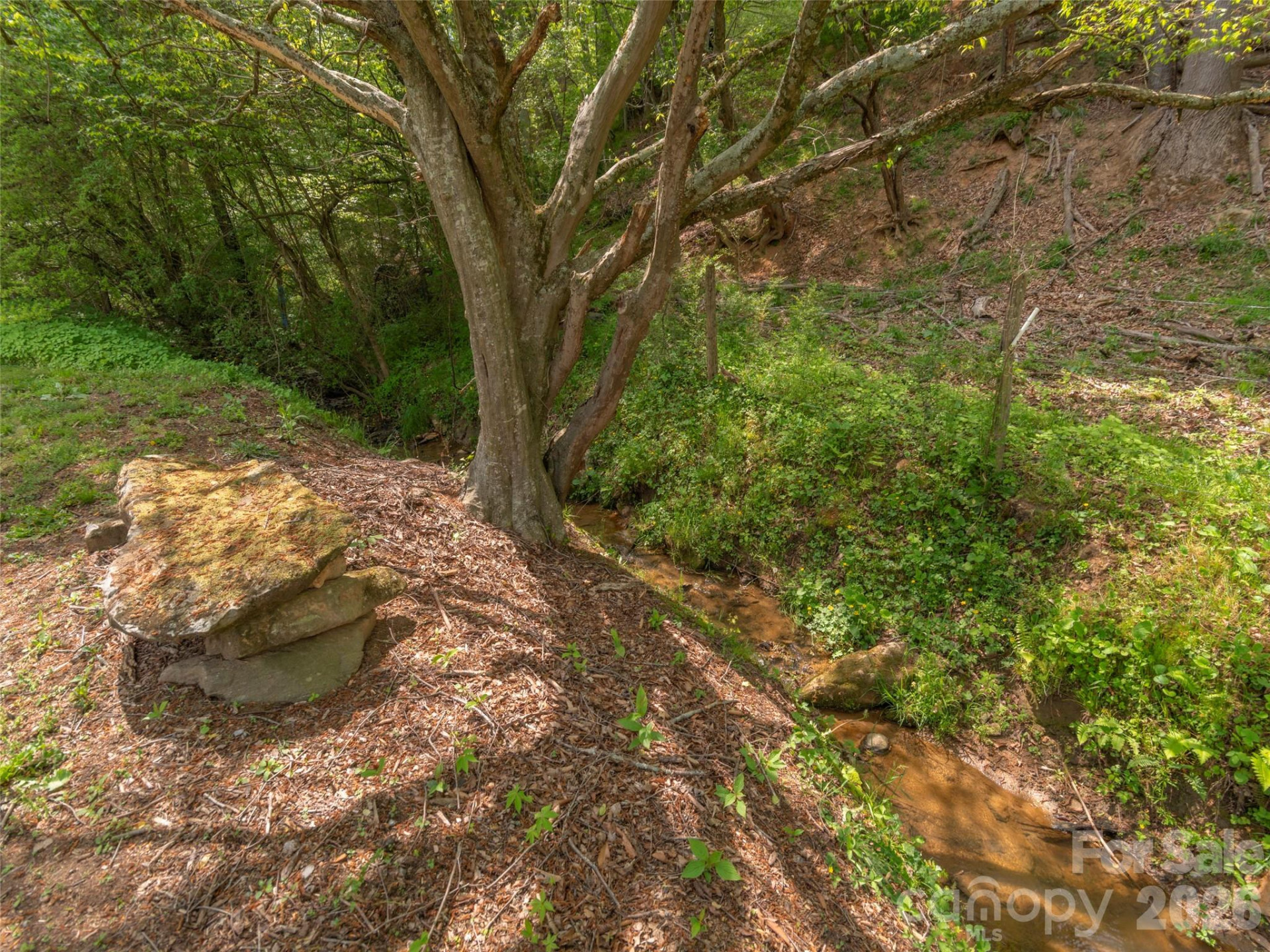 115 Gardening Frog Trail - Photo 17