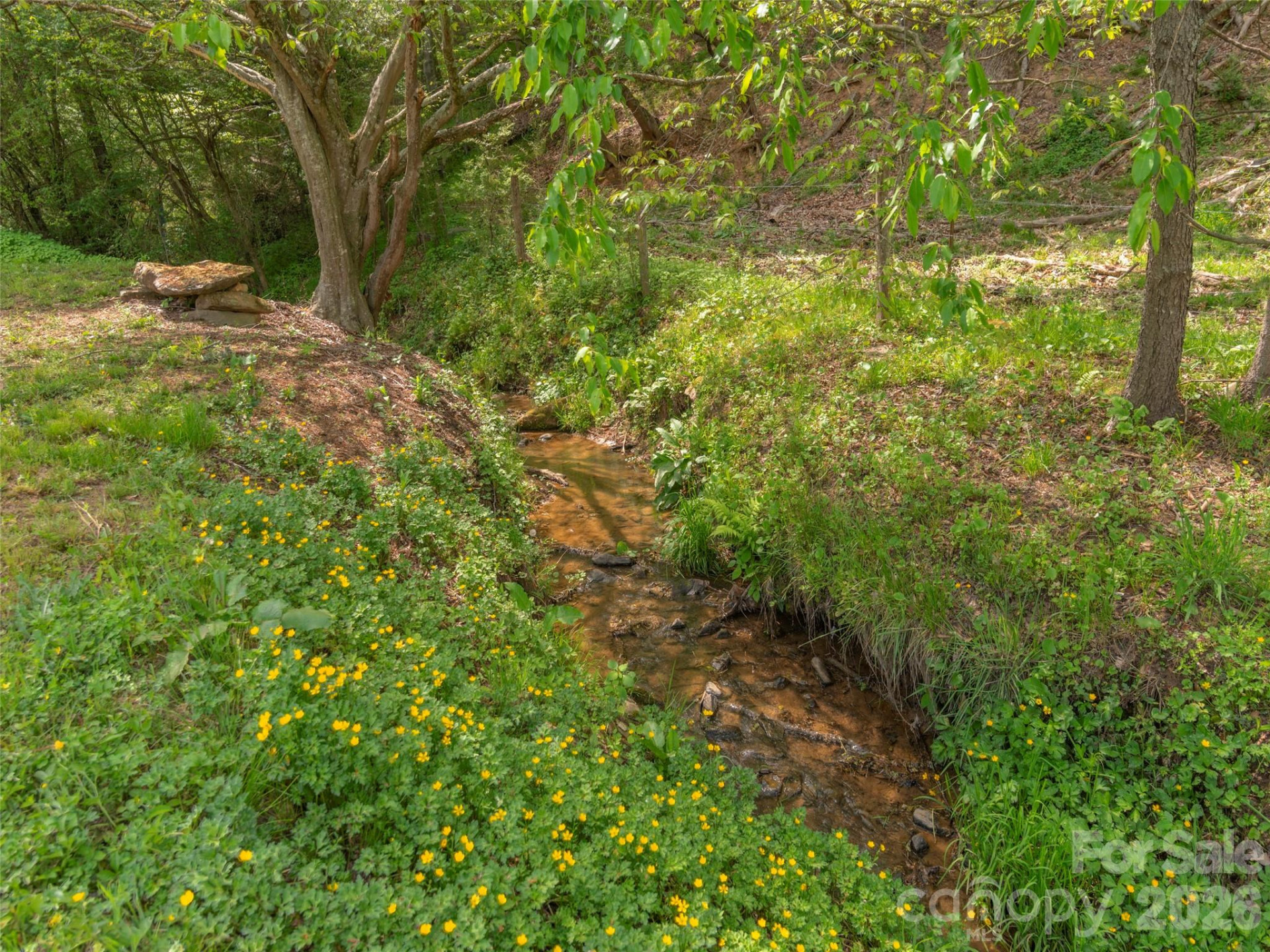 115 Gardening Frog Trail - Photo 18