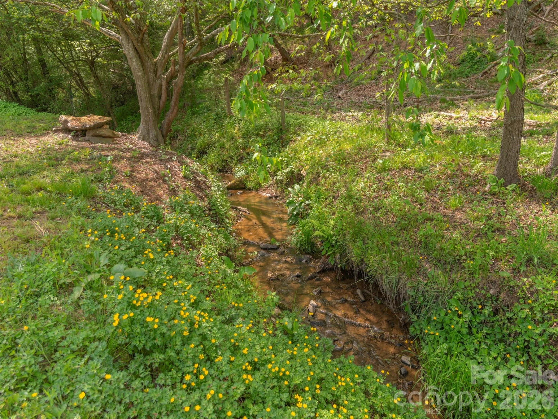 115 Gardening Frog Trail - Photo 18