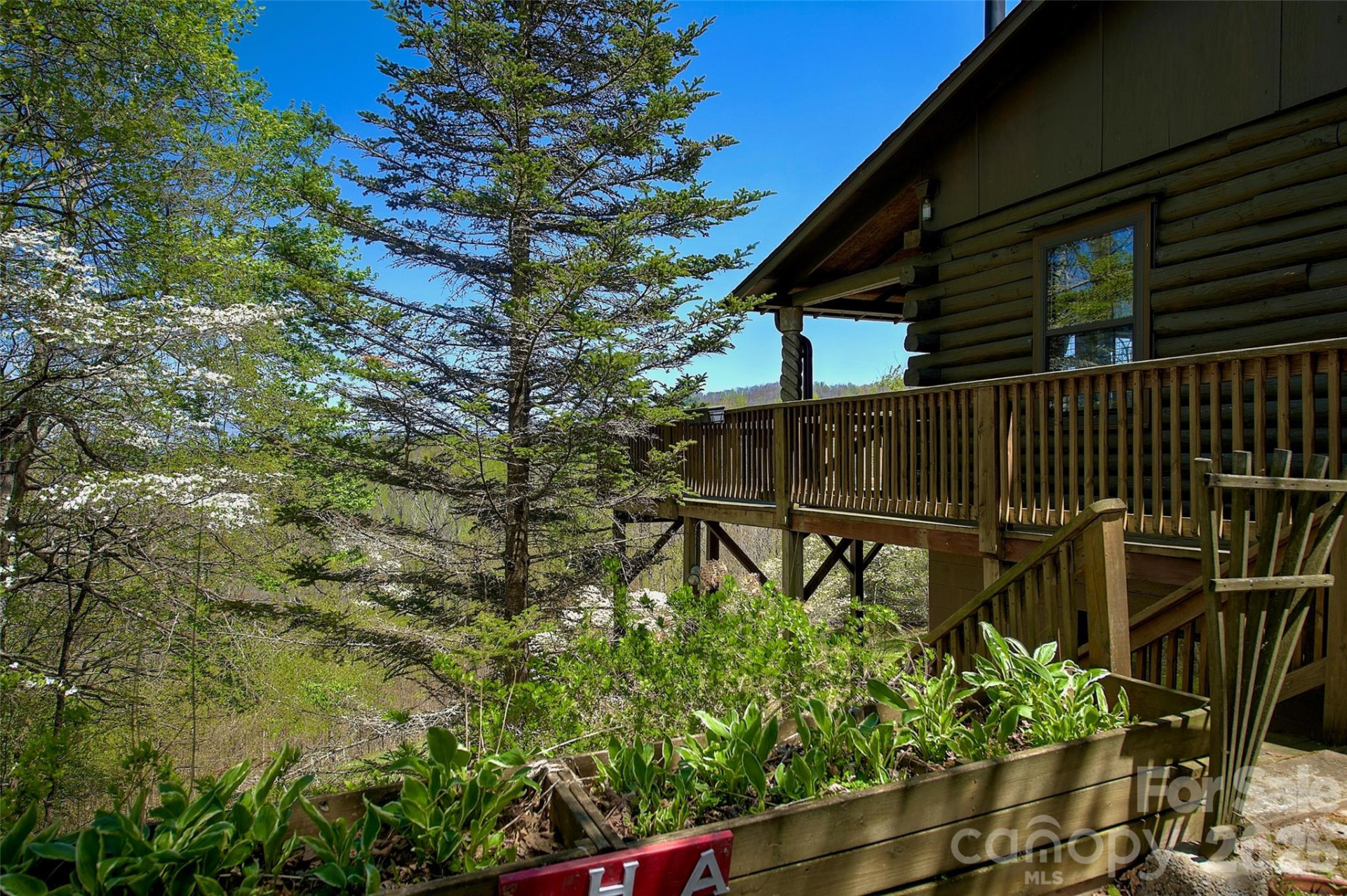 551 Carvers Knob Road #551 Carvers Knob Road - Photo 24