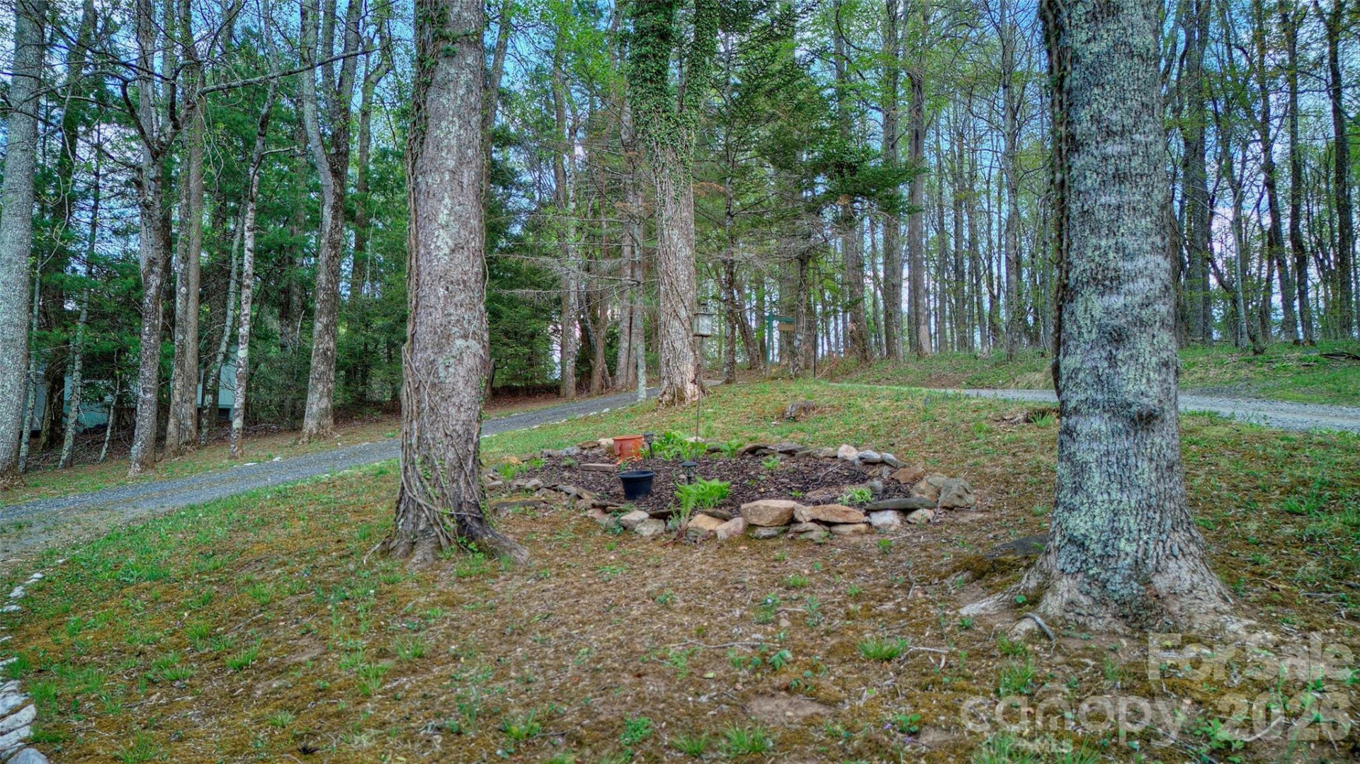 551 Carvers Knob Road #551 Carvers Knob Road - Photo 30