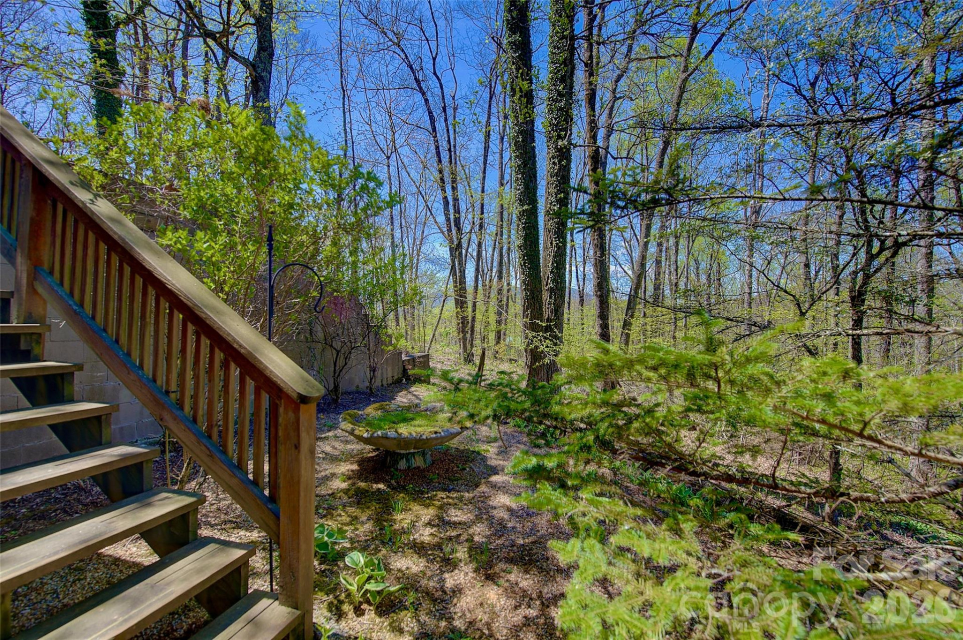 551 Carvers Knob Road #551 Carvers Knob Road - Photo 40