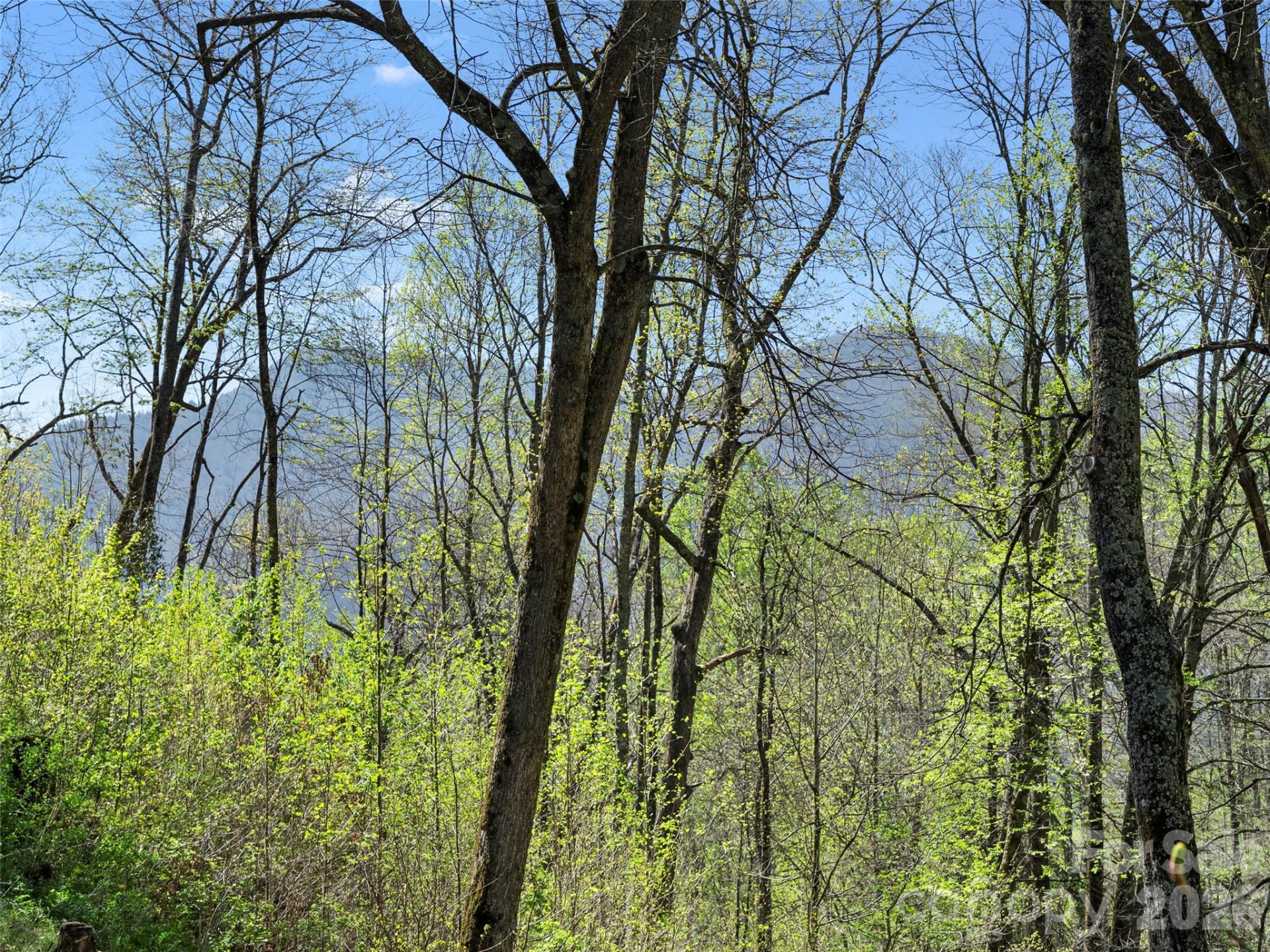 79 Ward Road - Photo 48